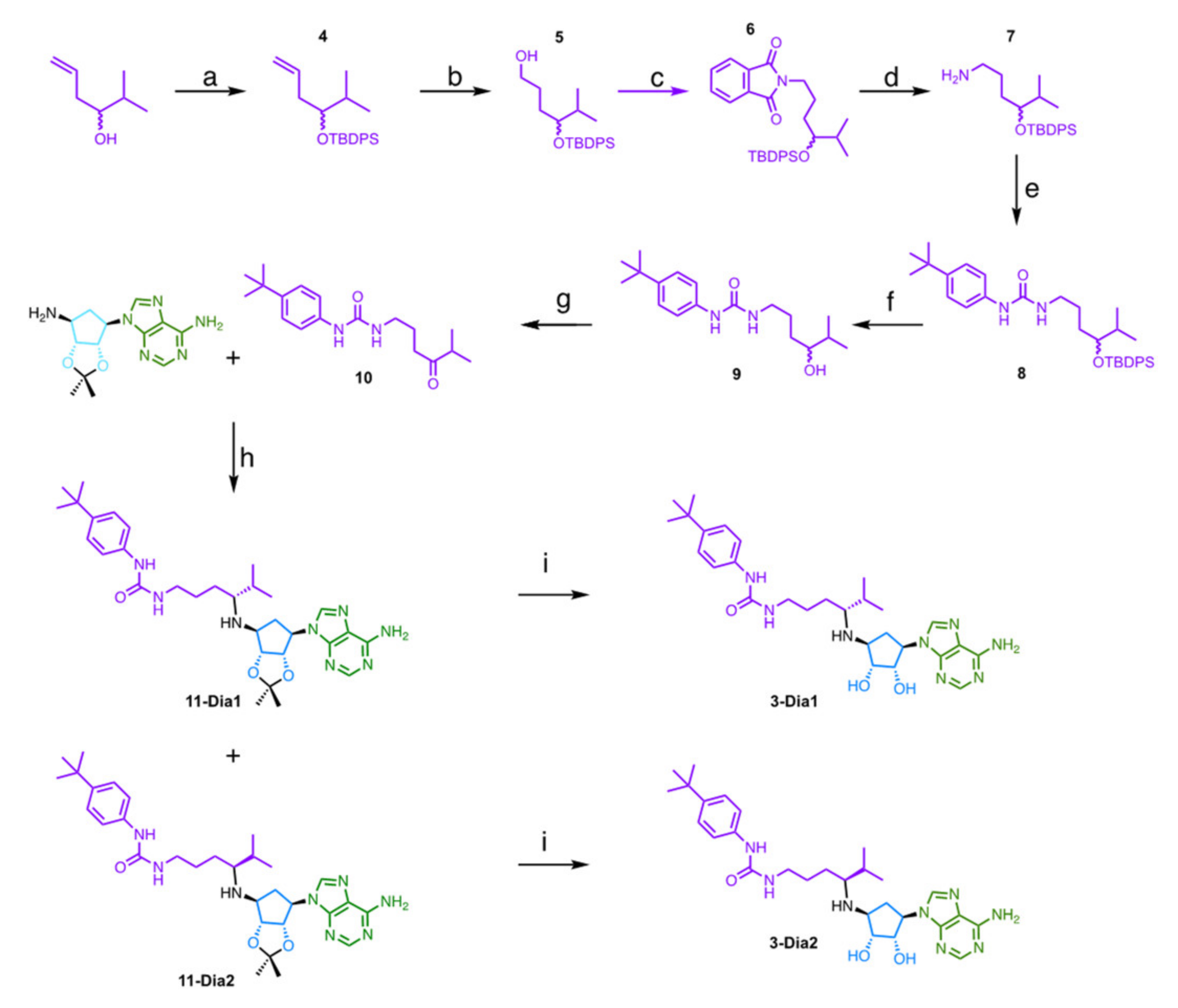 Molecules 26 05300 sch001 Molecules 26 05300 sch001