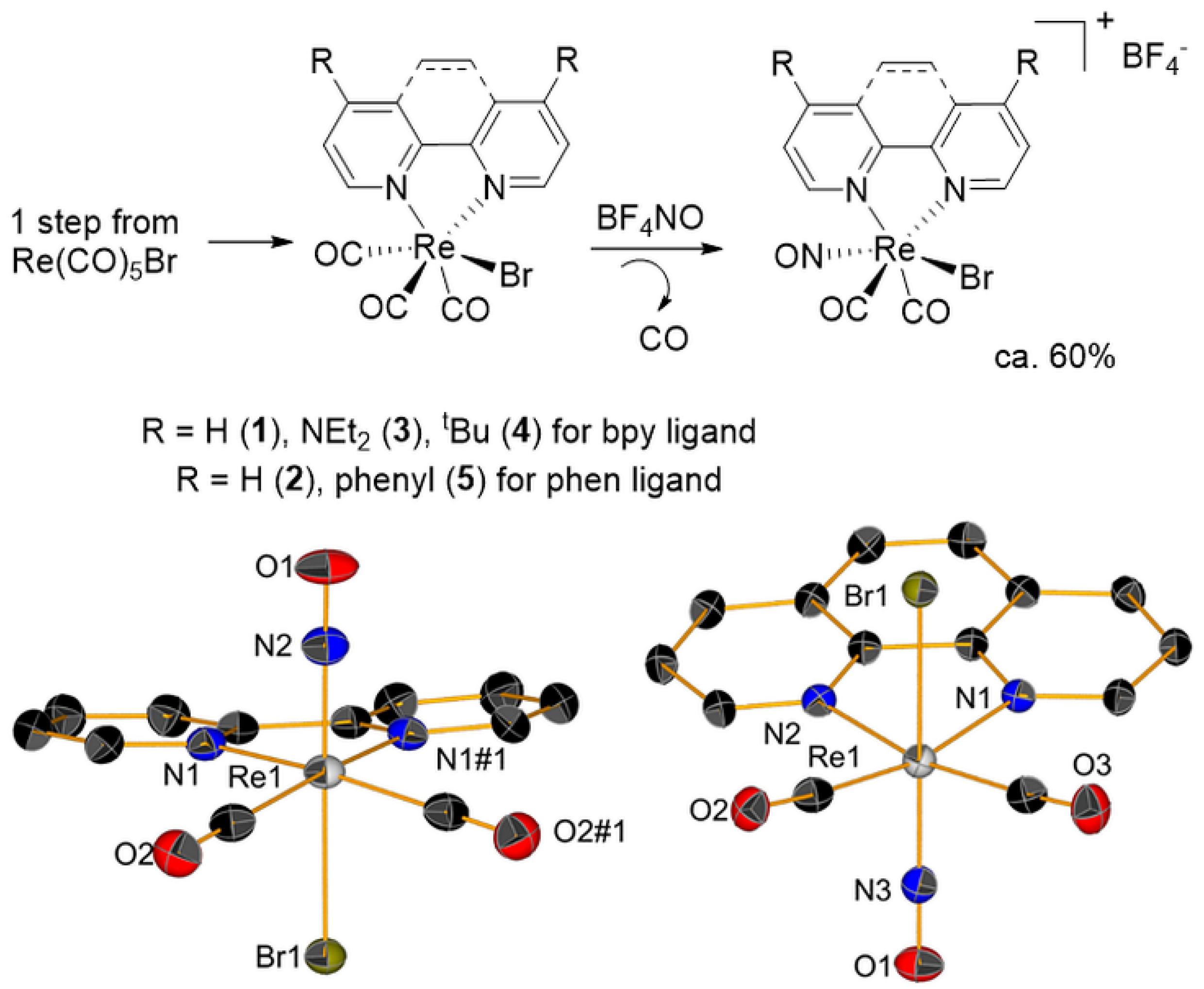 Molecules 26 05302 g001 Molecules 26 05302 g001