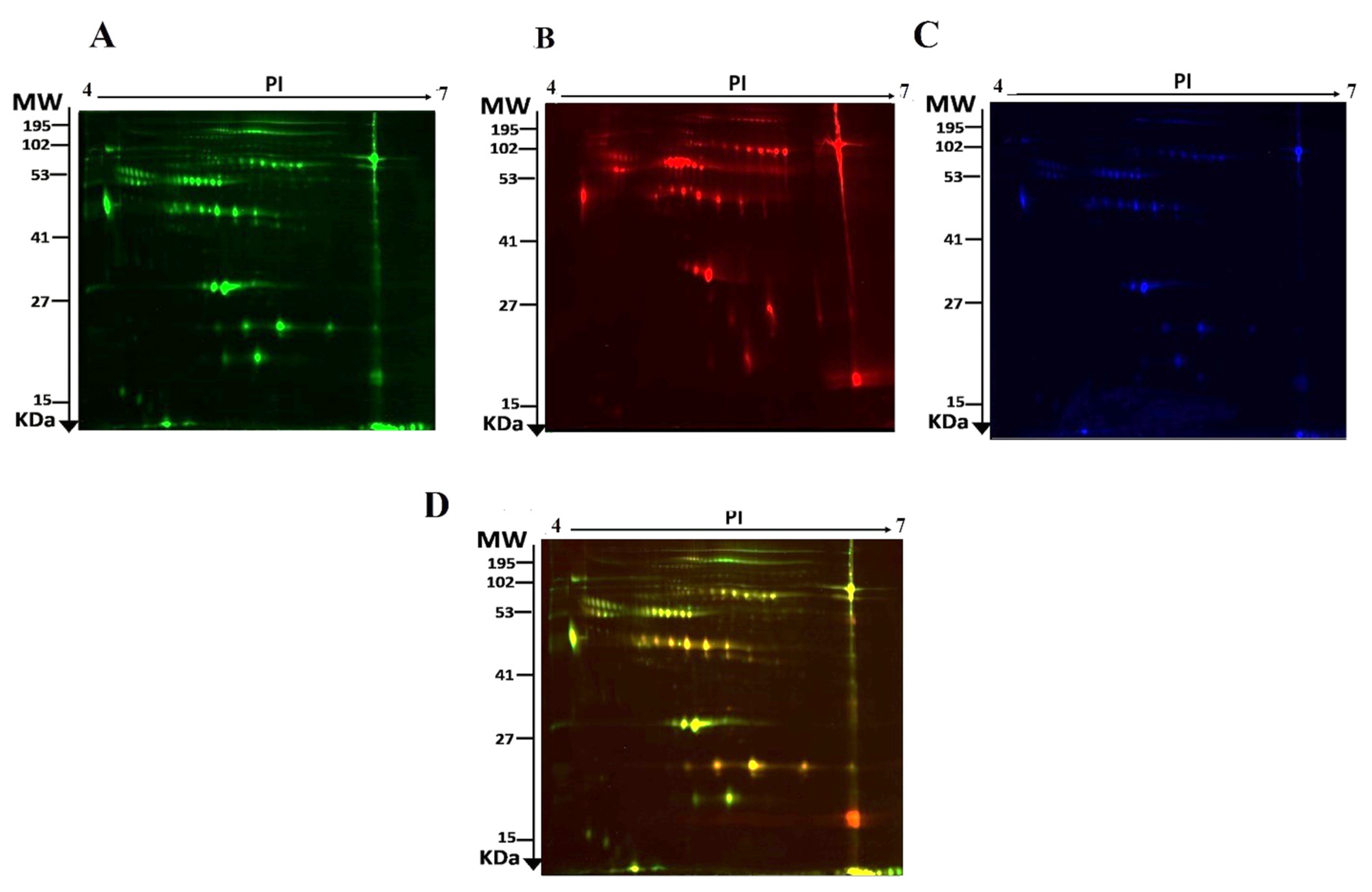 Molecules 26 05311 g001 Molecules 26 05311 g001