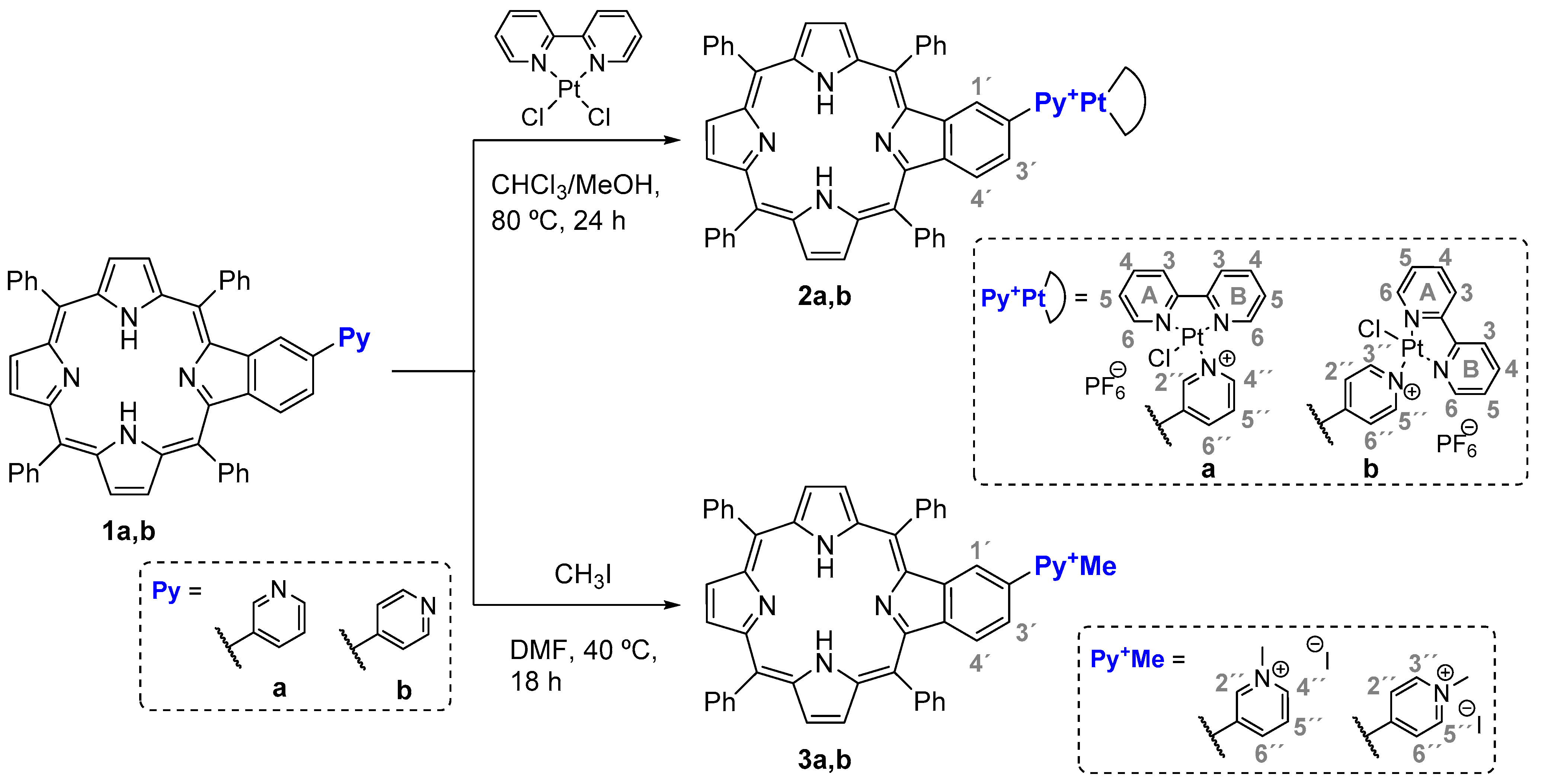 Molecules 26 05312 sch001
