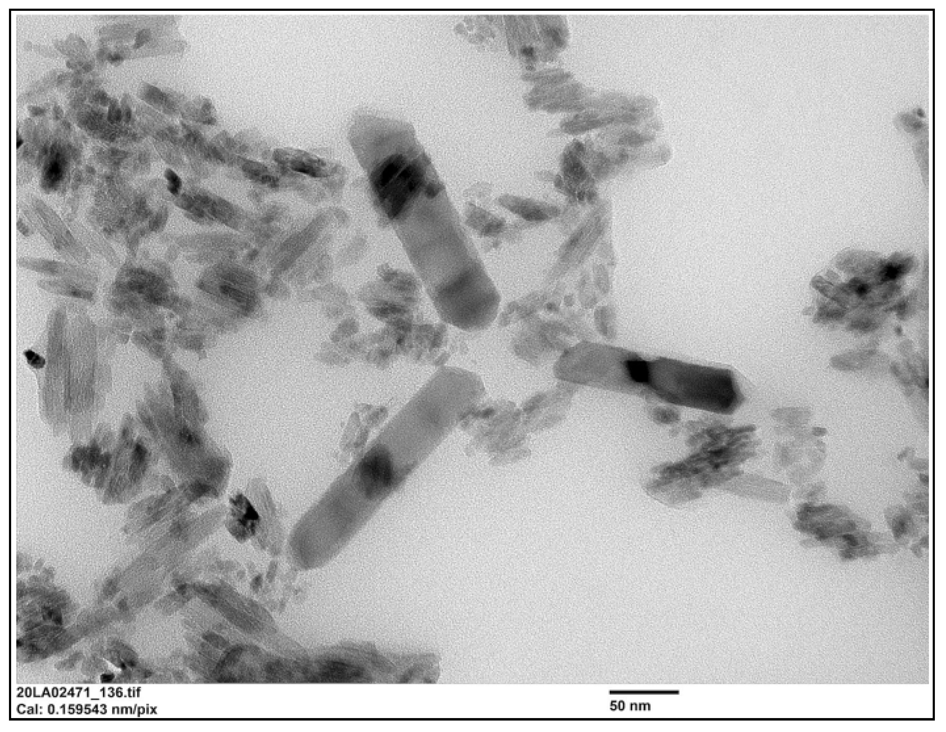 Molecules 26 05315 g012