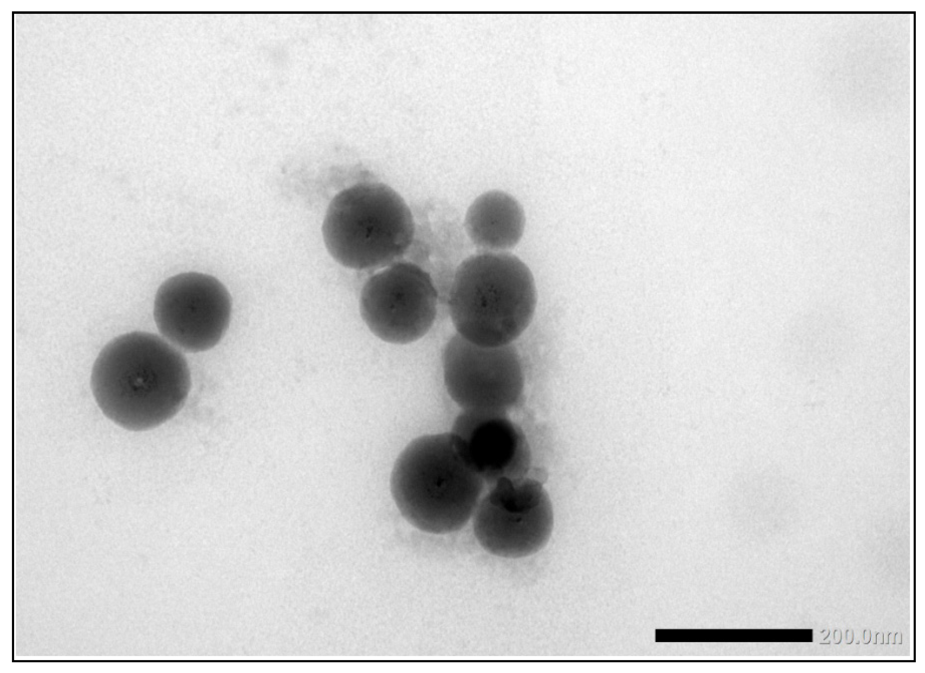 Molecules 26 05315 g013