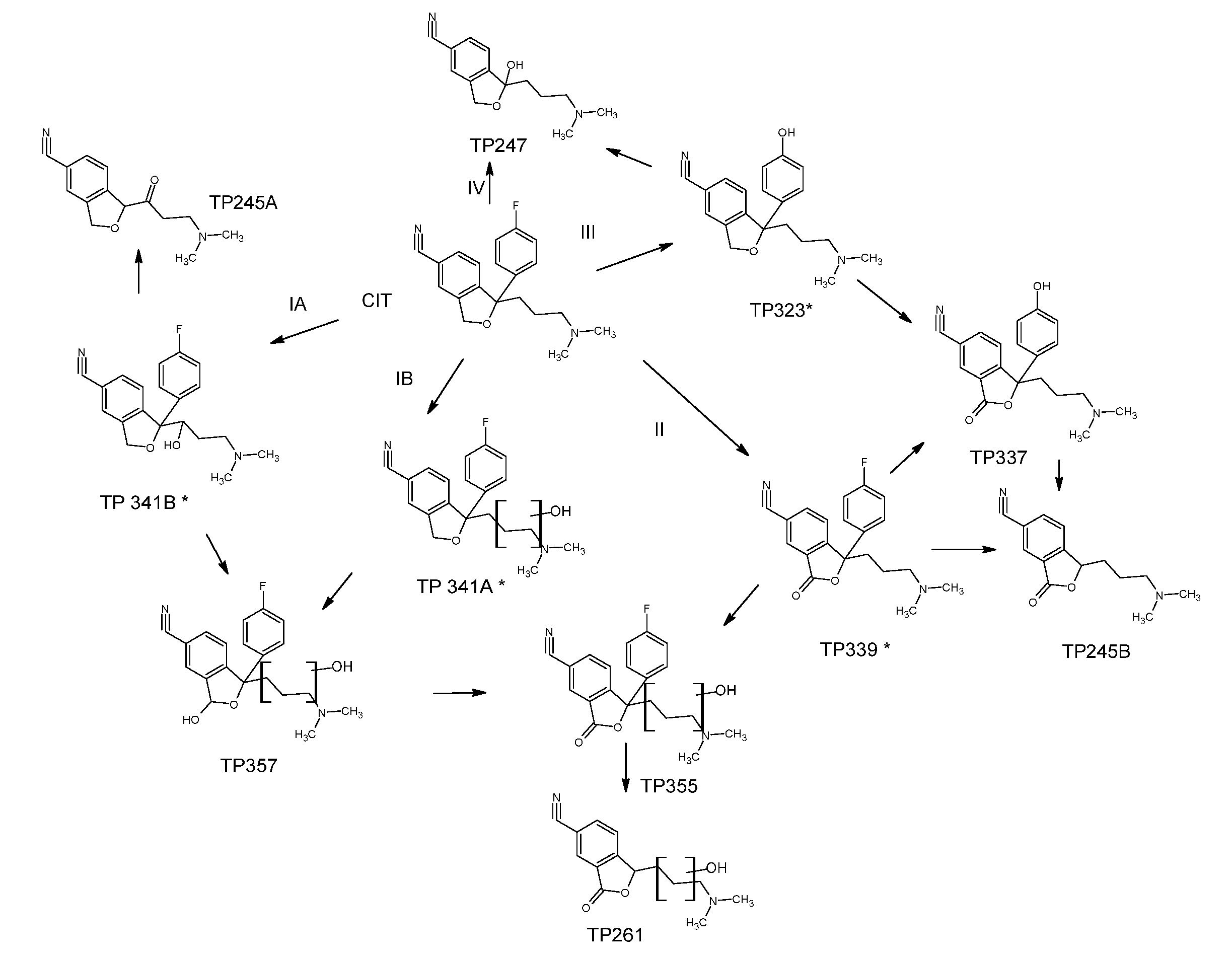 Molecules 26 05331 sch001