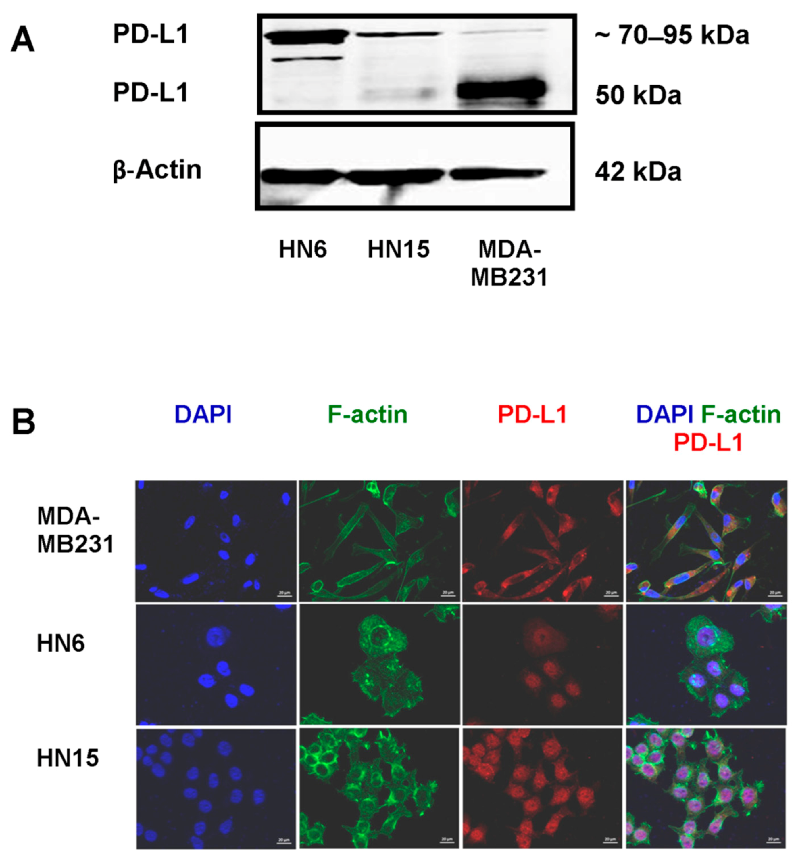 Molecules 26 05345 g001
