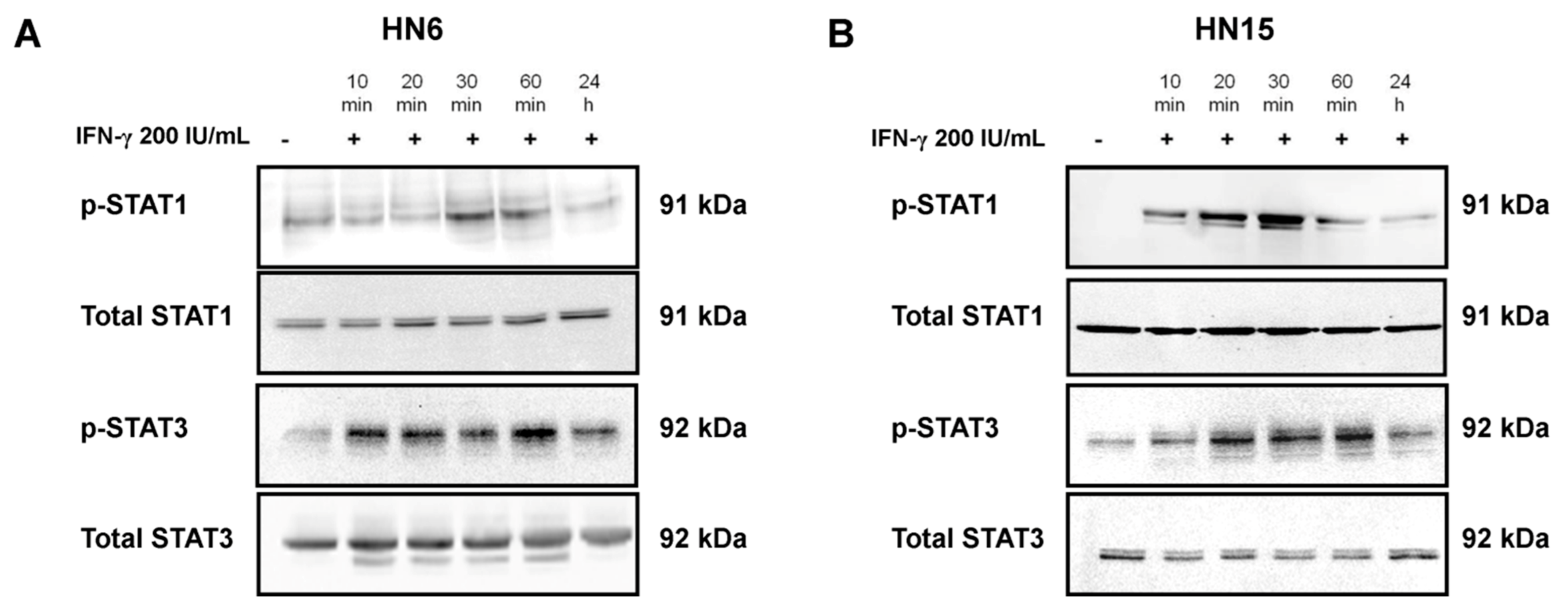 Molecules 26 05345 g003