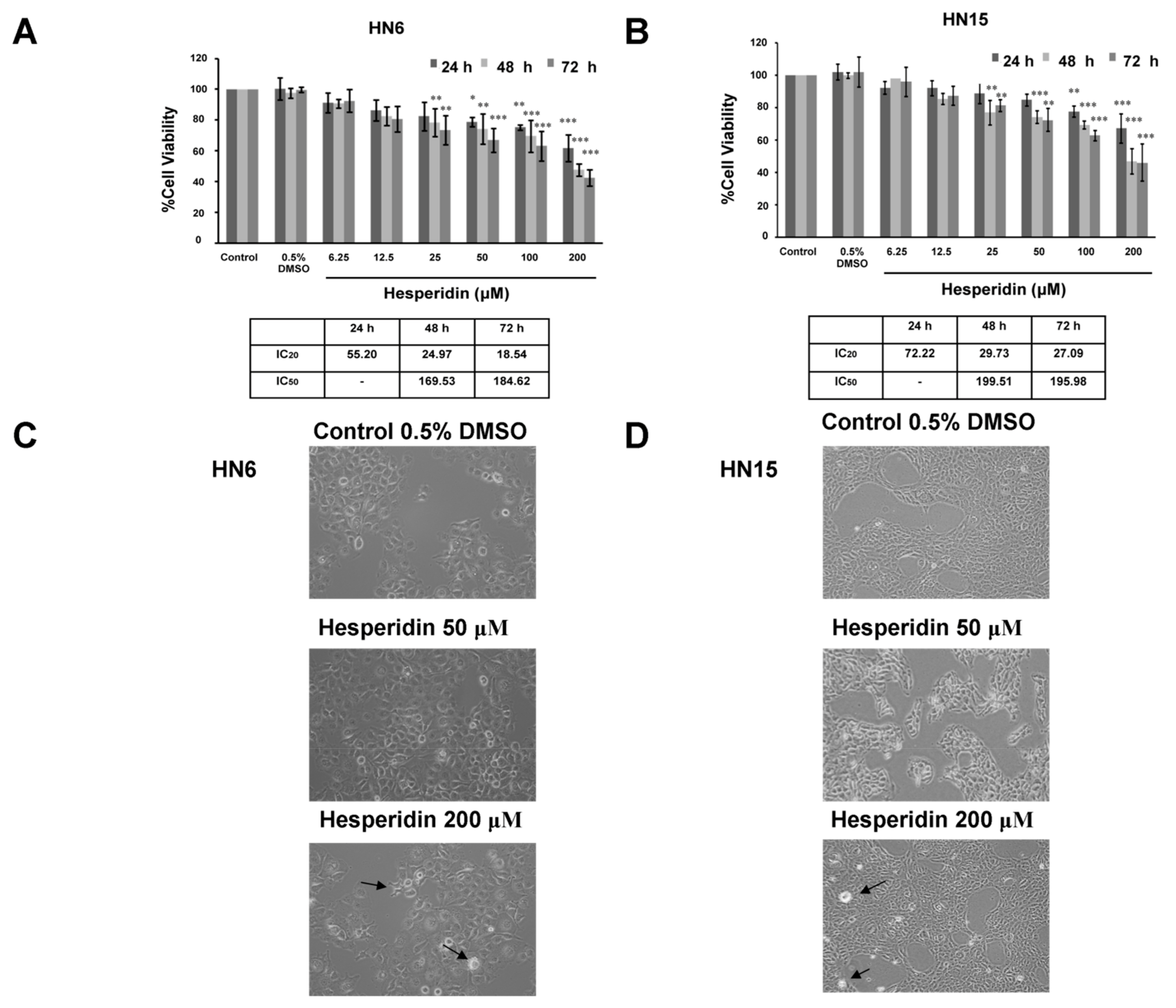 Molecules 26 05345 g004