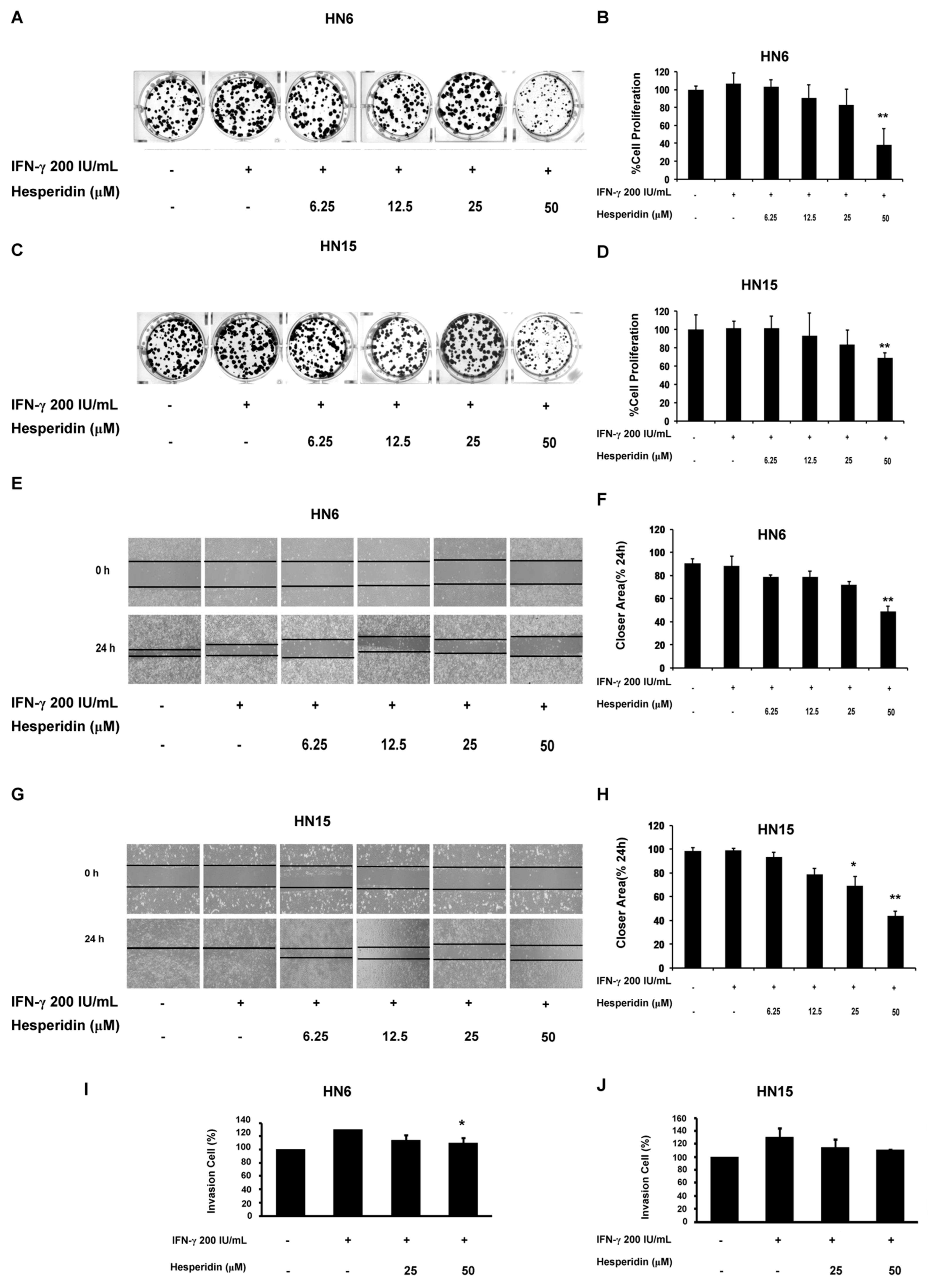 Molecules 26 05345 g005