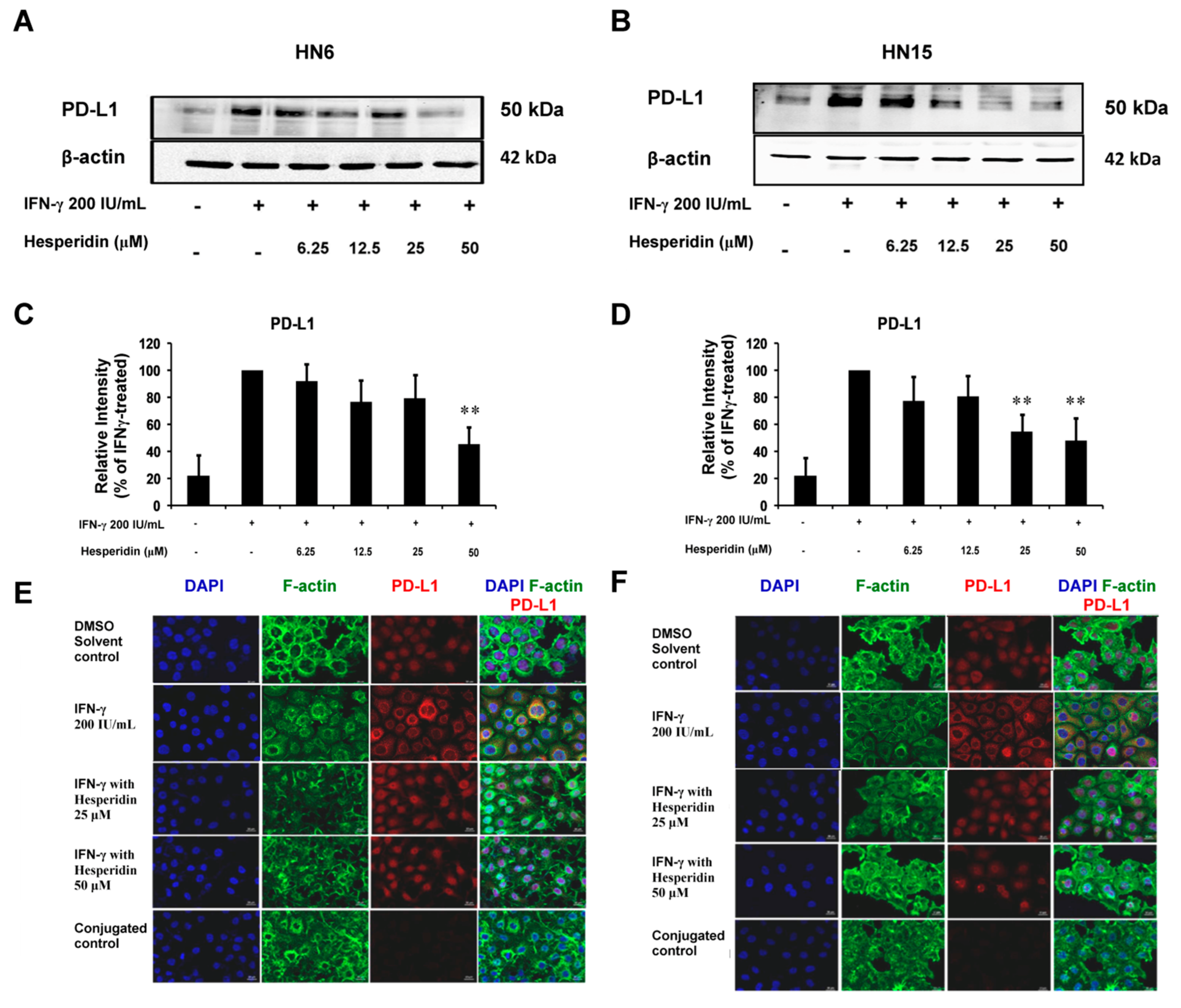 Molecules 26 05345 g006