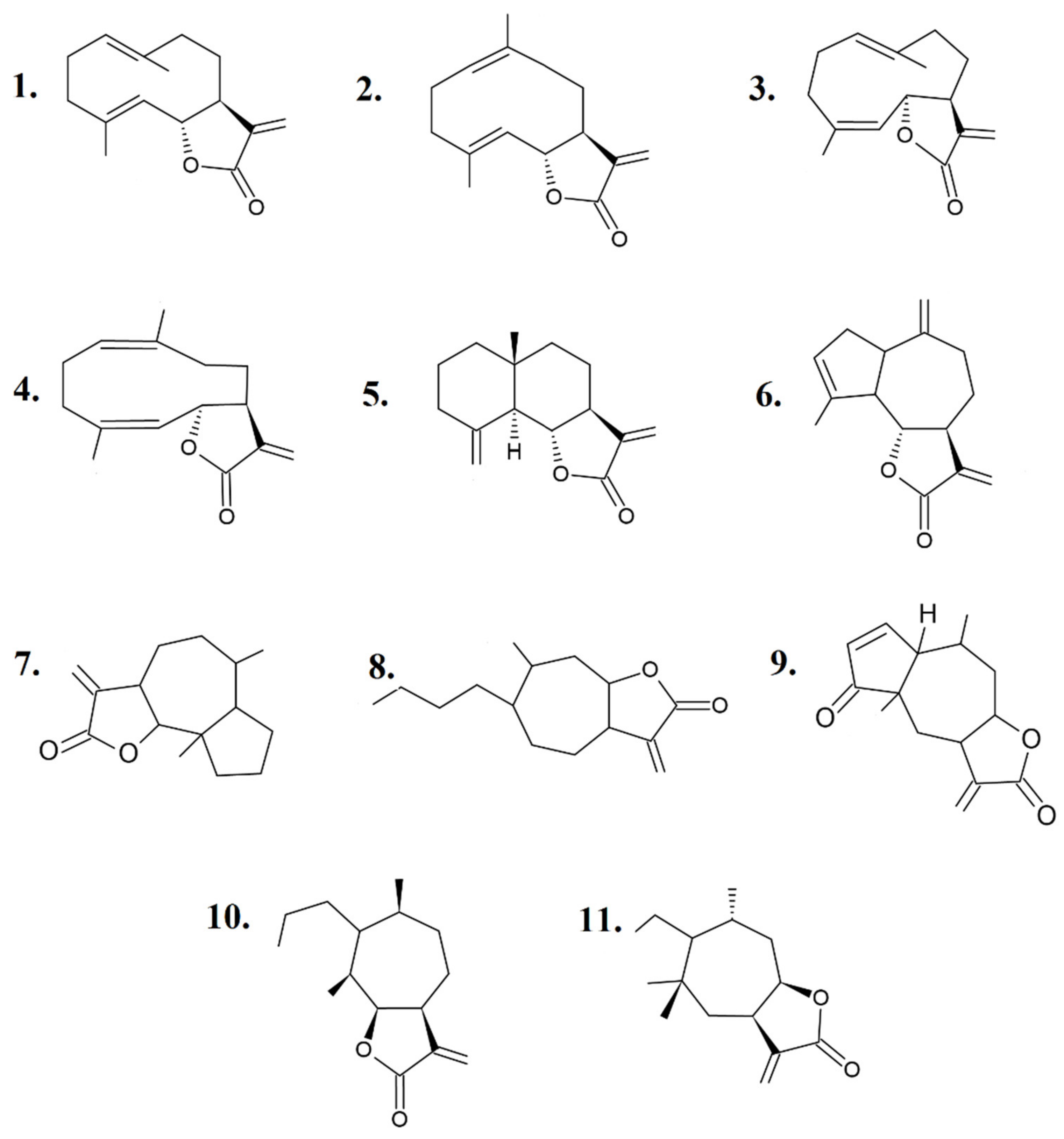 Molecules 26 05347 g001