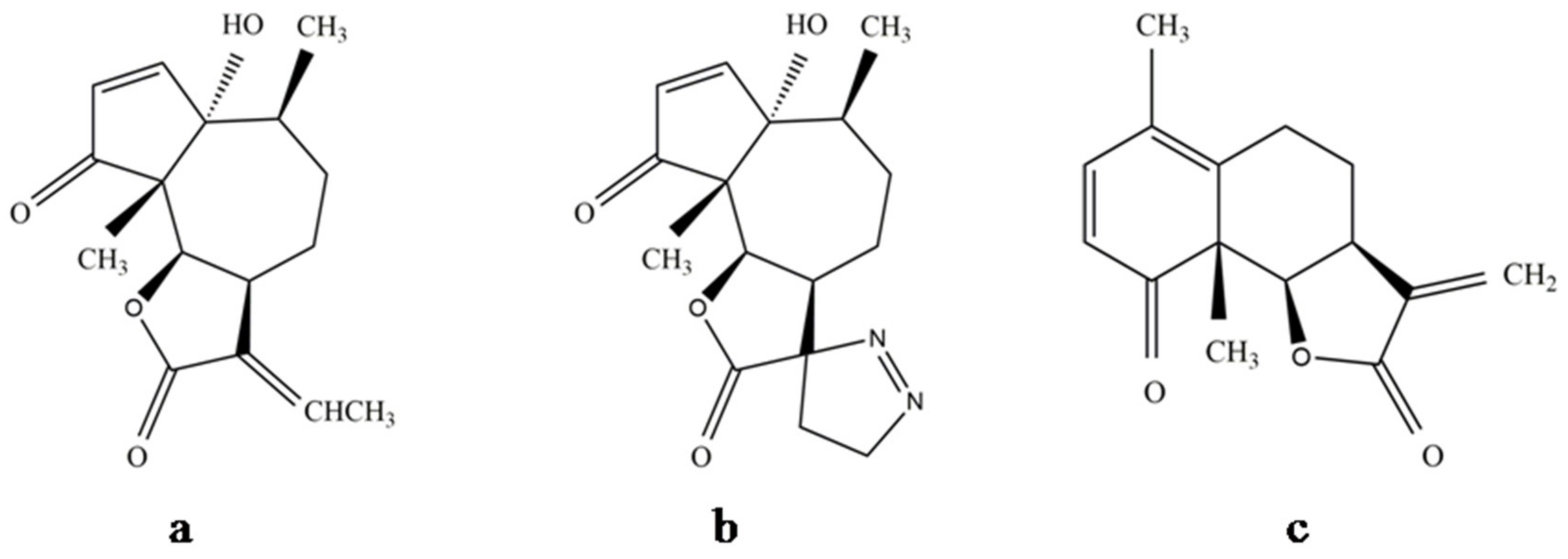 Molecules 26 05347 g006