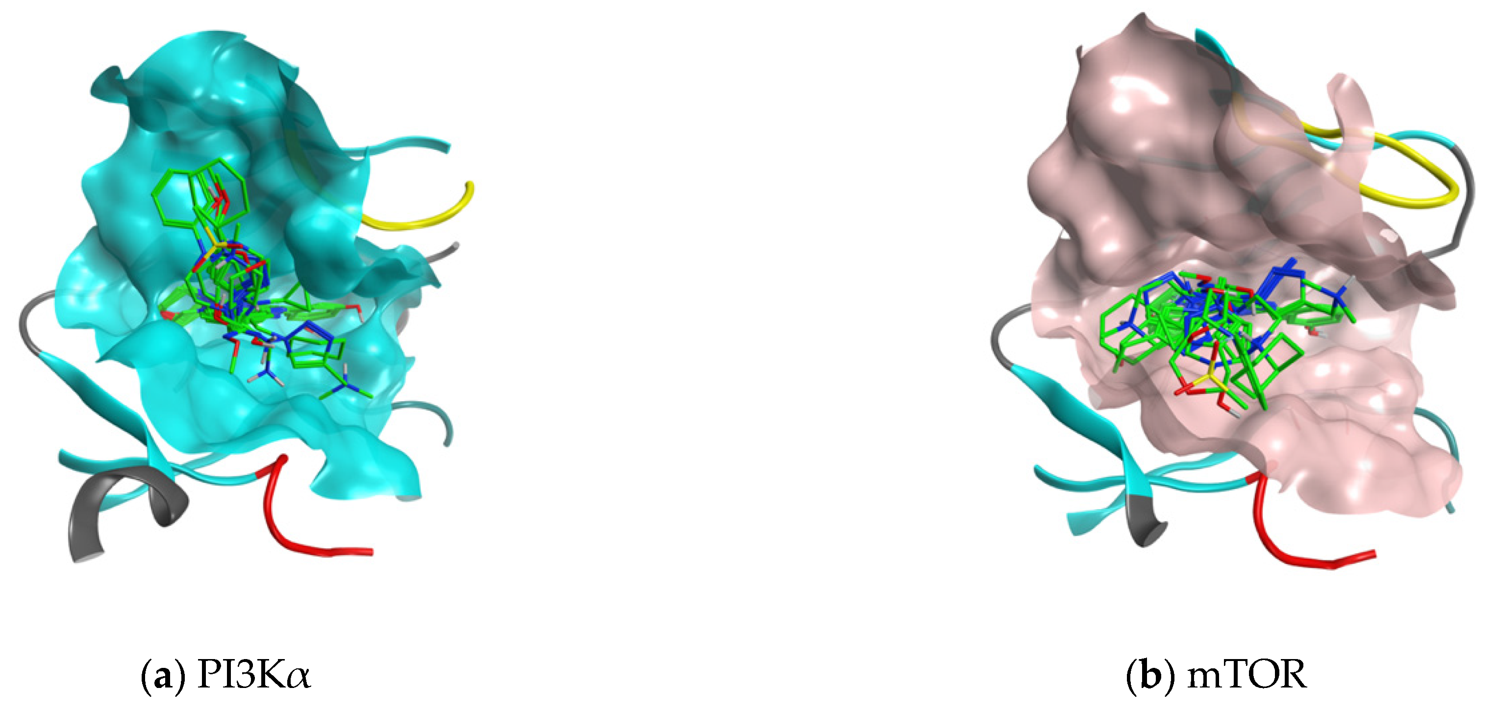 Molecules 26 05349 g003