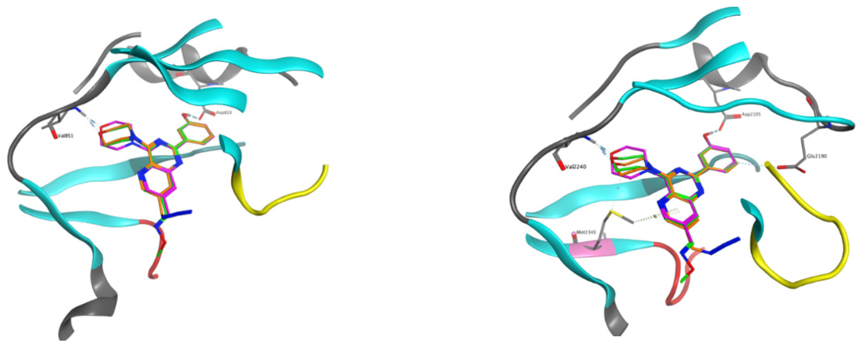 Molecules 26 05349 g005