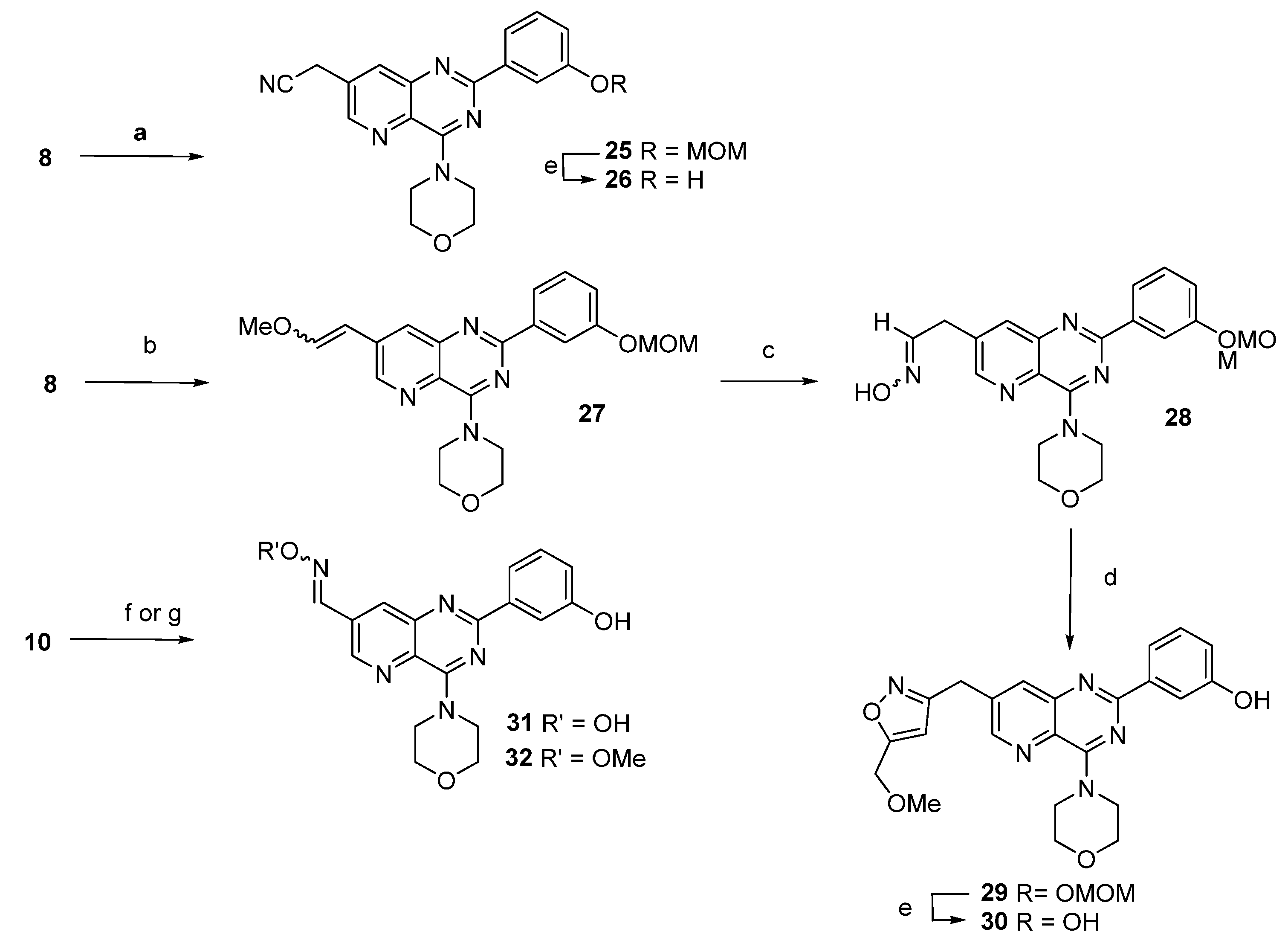 Molecules 26 05349 sch004