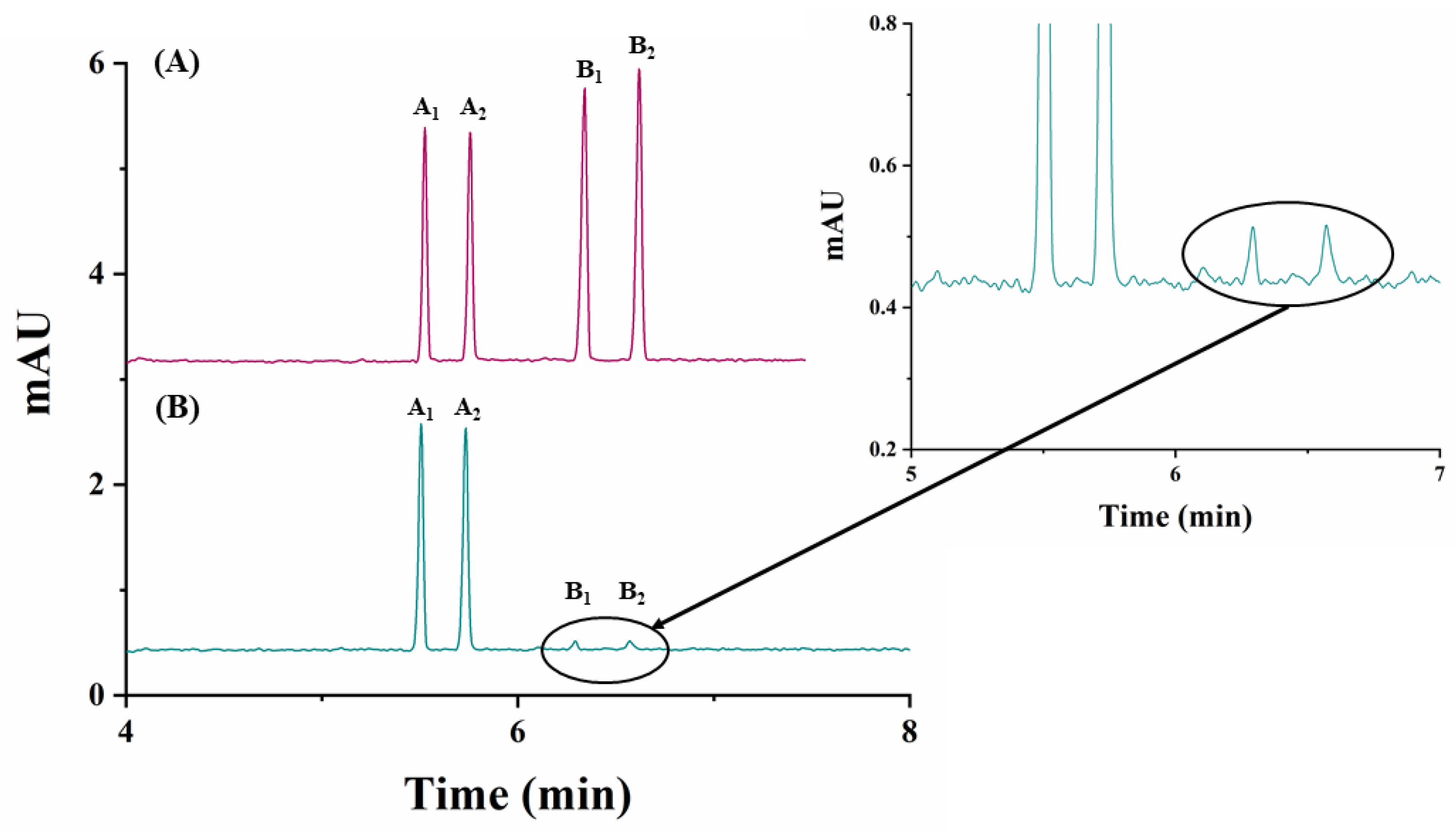 Molecules 26 05350 g004