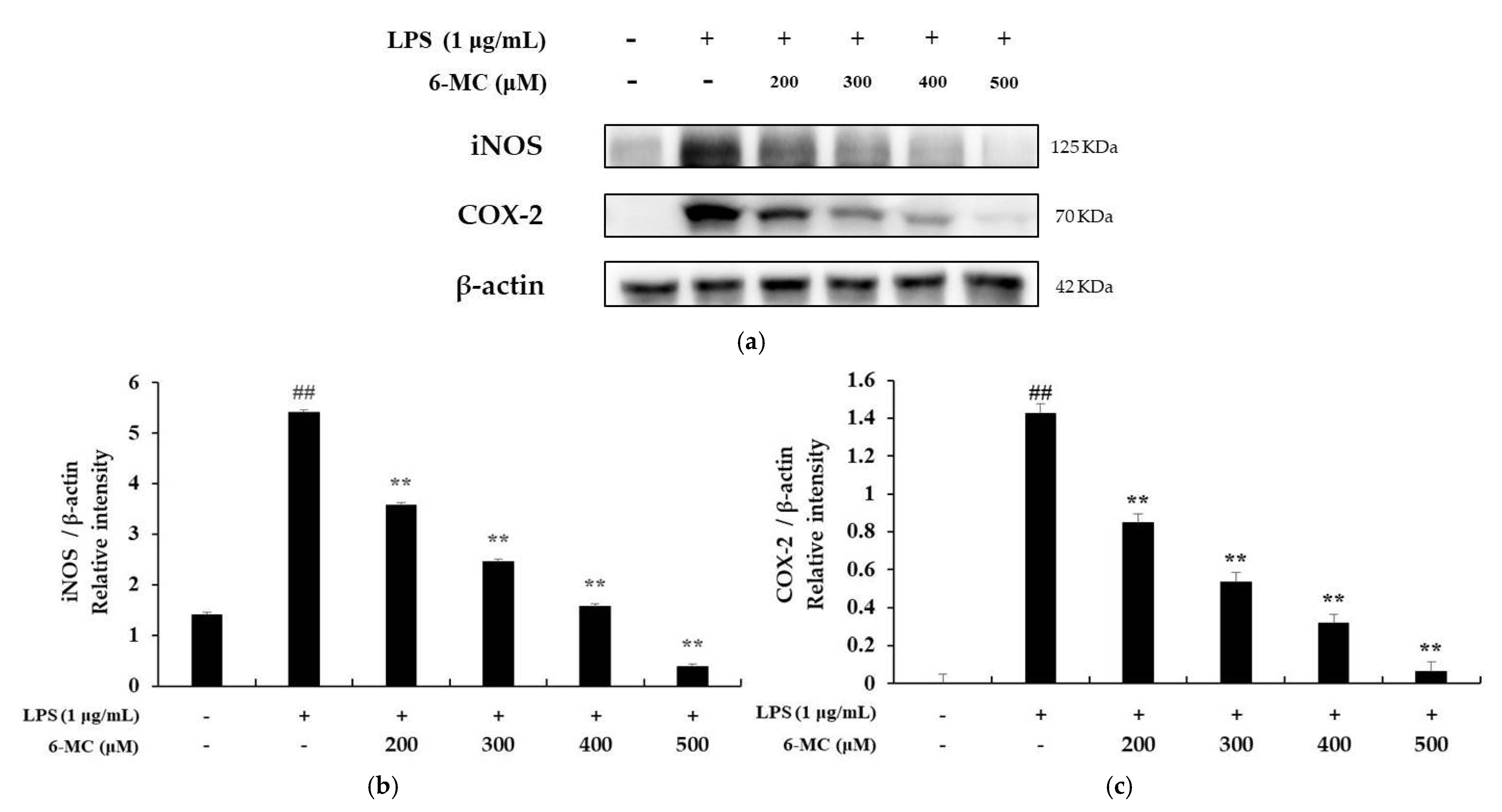 Molecules 26 05351 g005