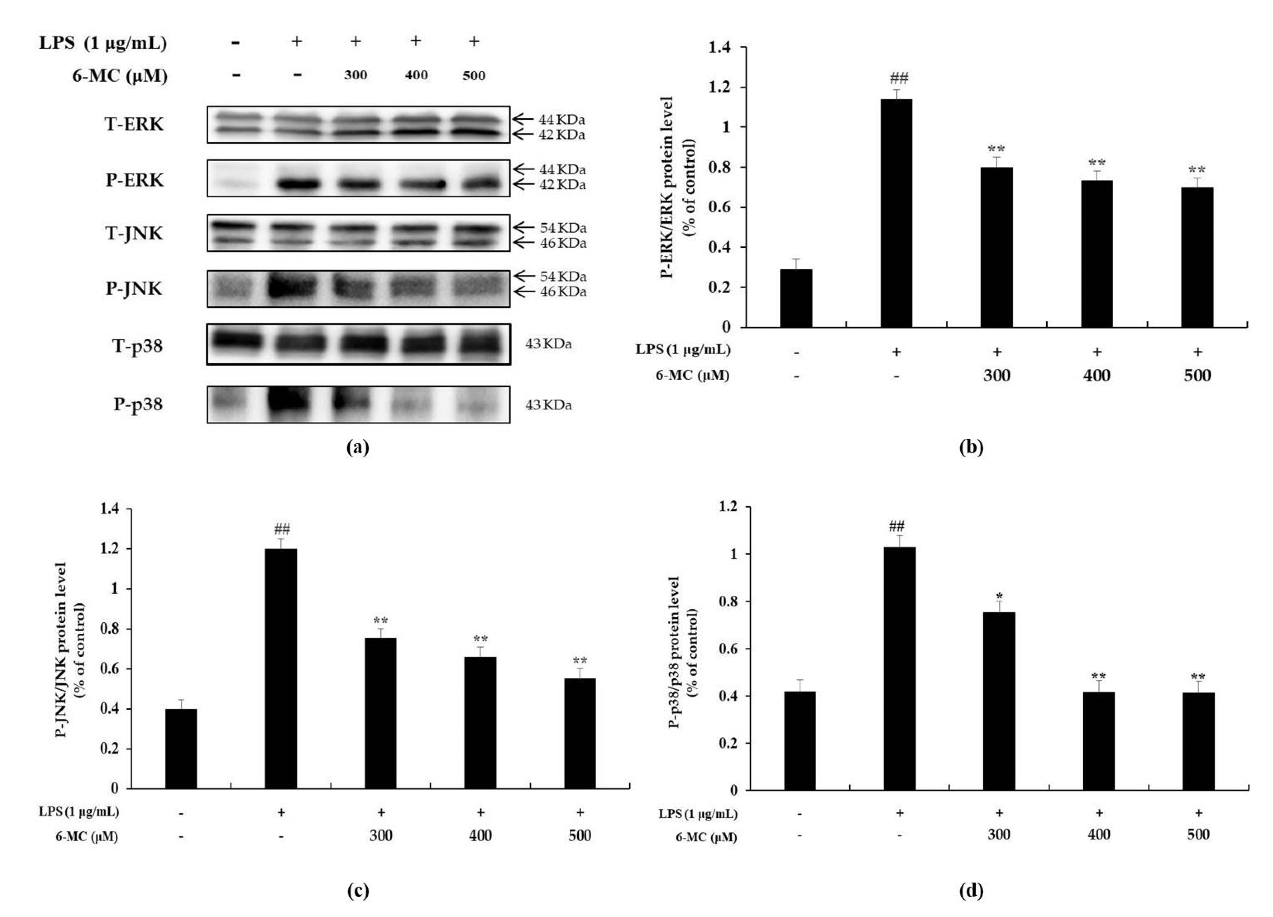 Molecules 26 05351 g006