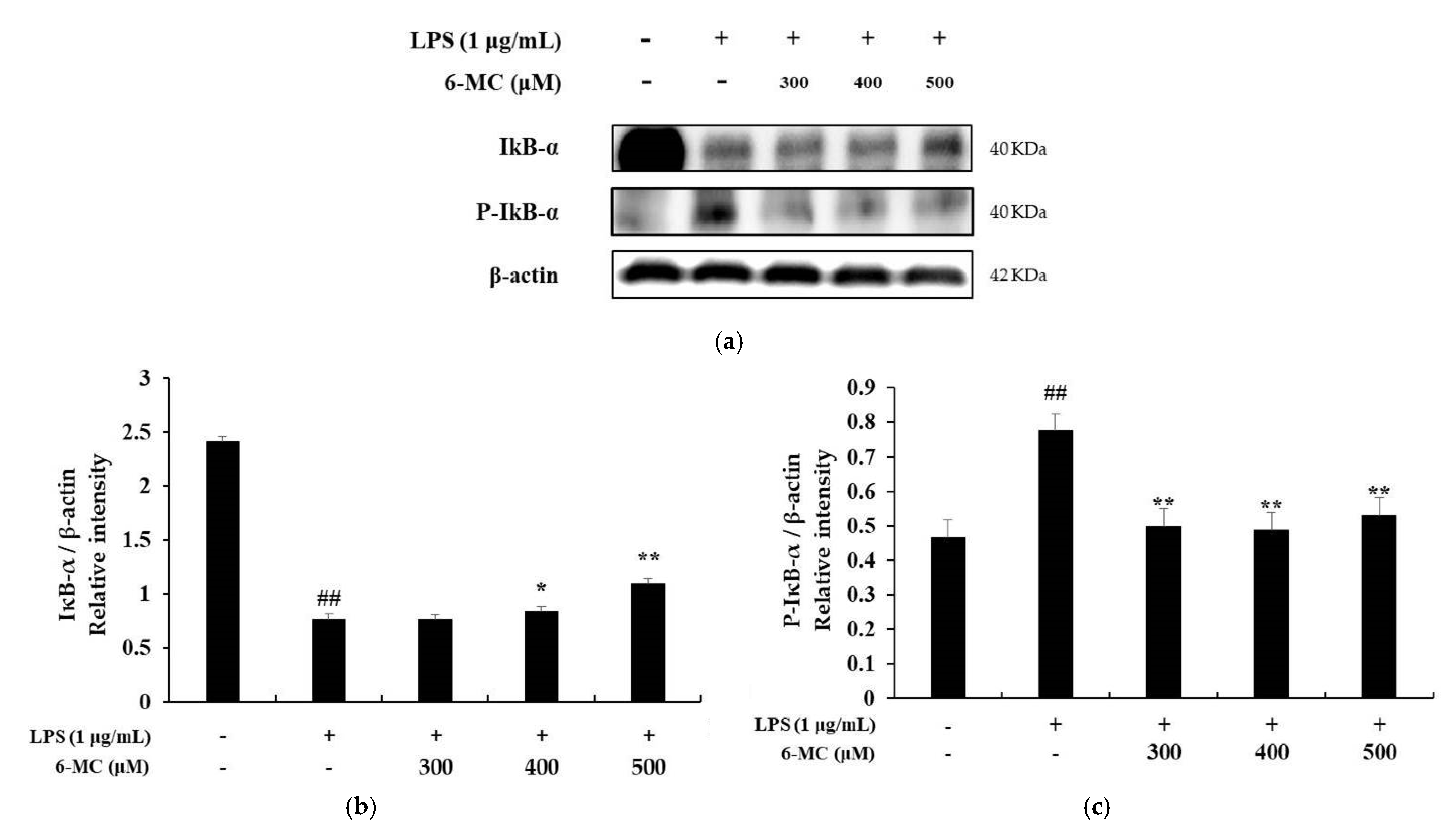 Molecules 26 05351 g007