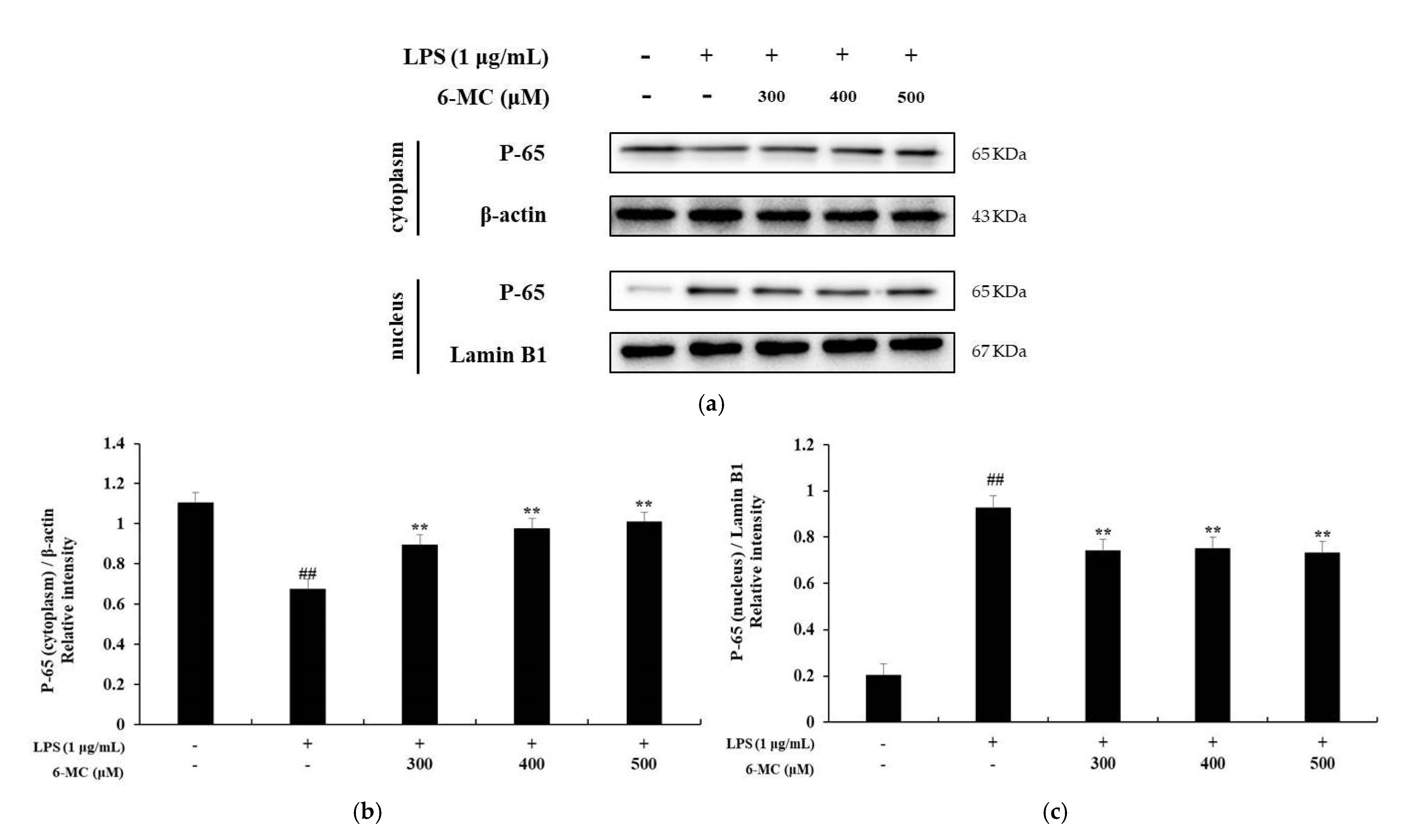 Molecules 26 05351 g008
