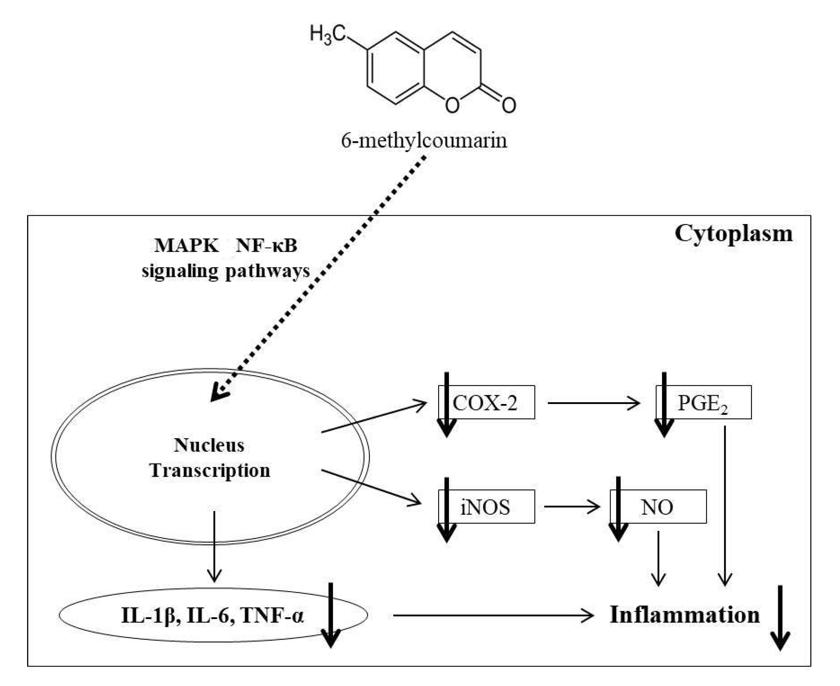 Molecules 26 05351 g009