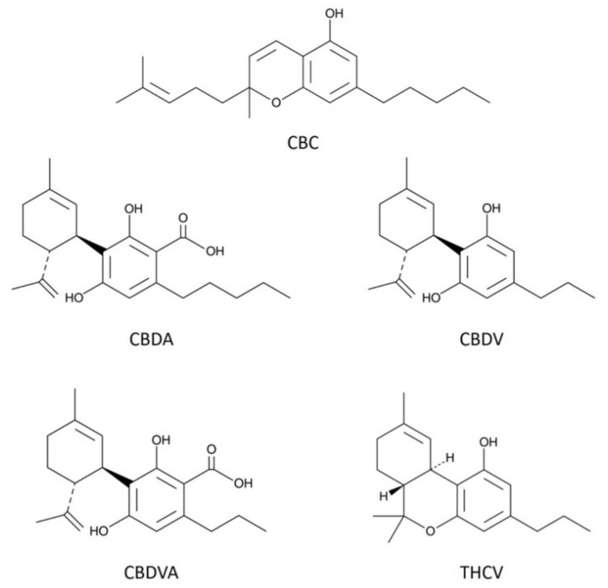 Molecules 26 05352 g001 Molecules 26 05352 g001