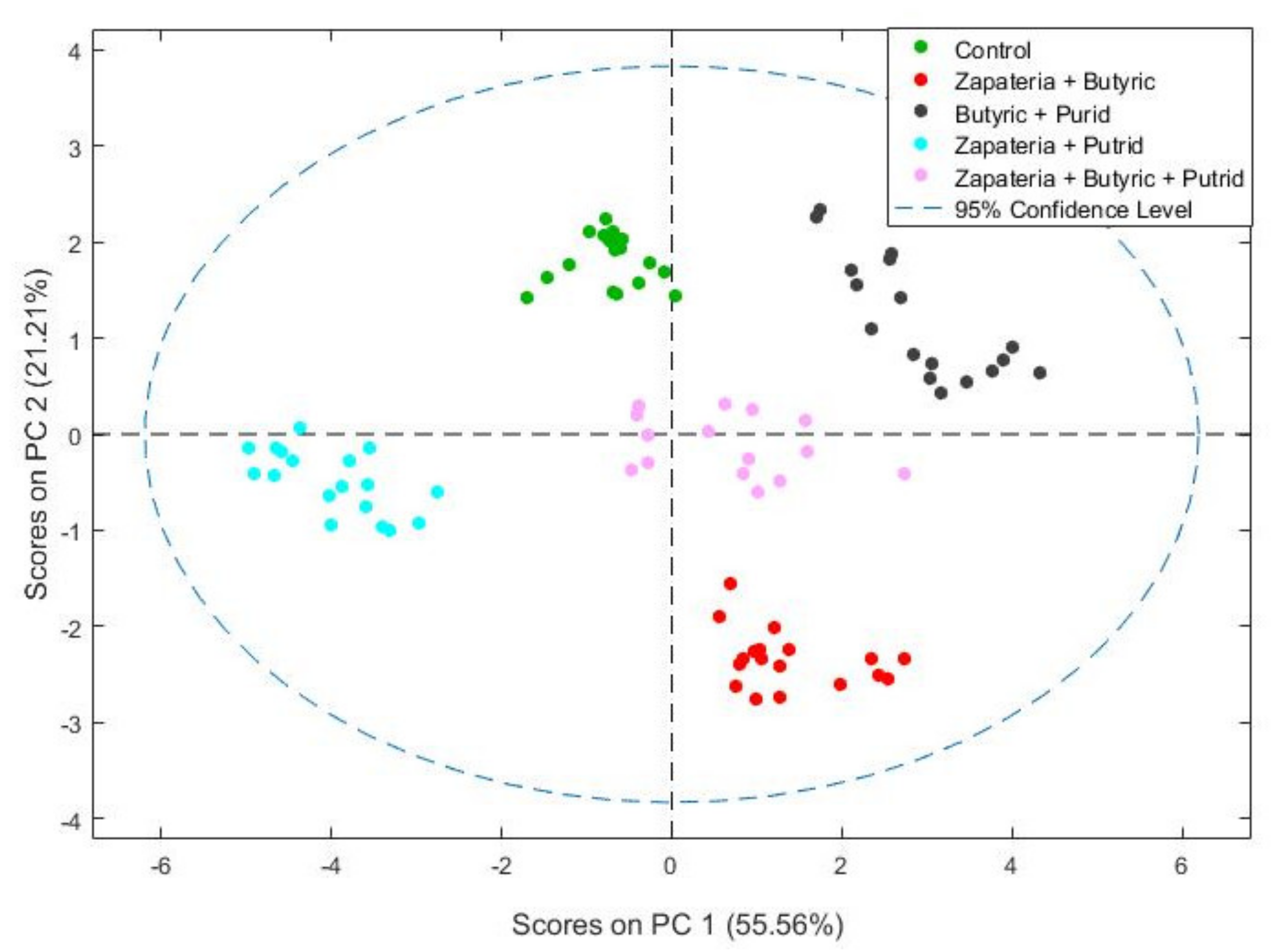 Molecules 26 05353 g004