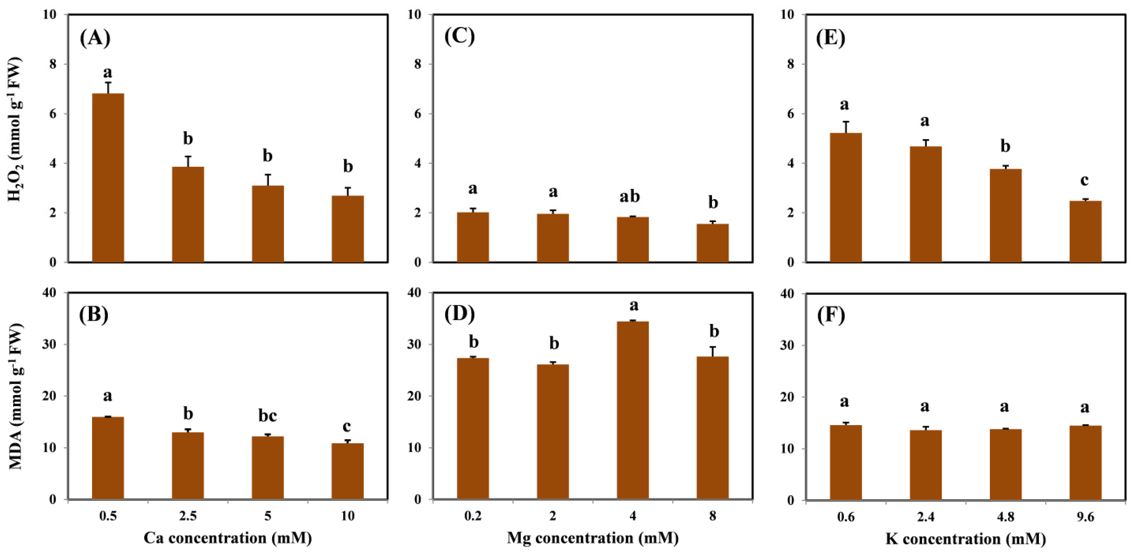 Molecules 26 05356 g003