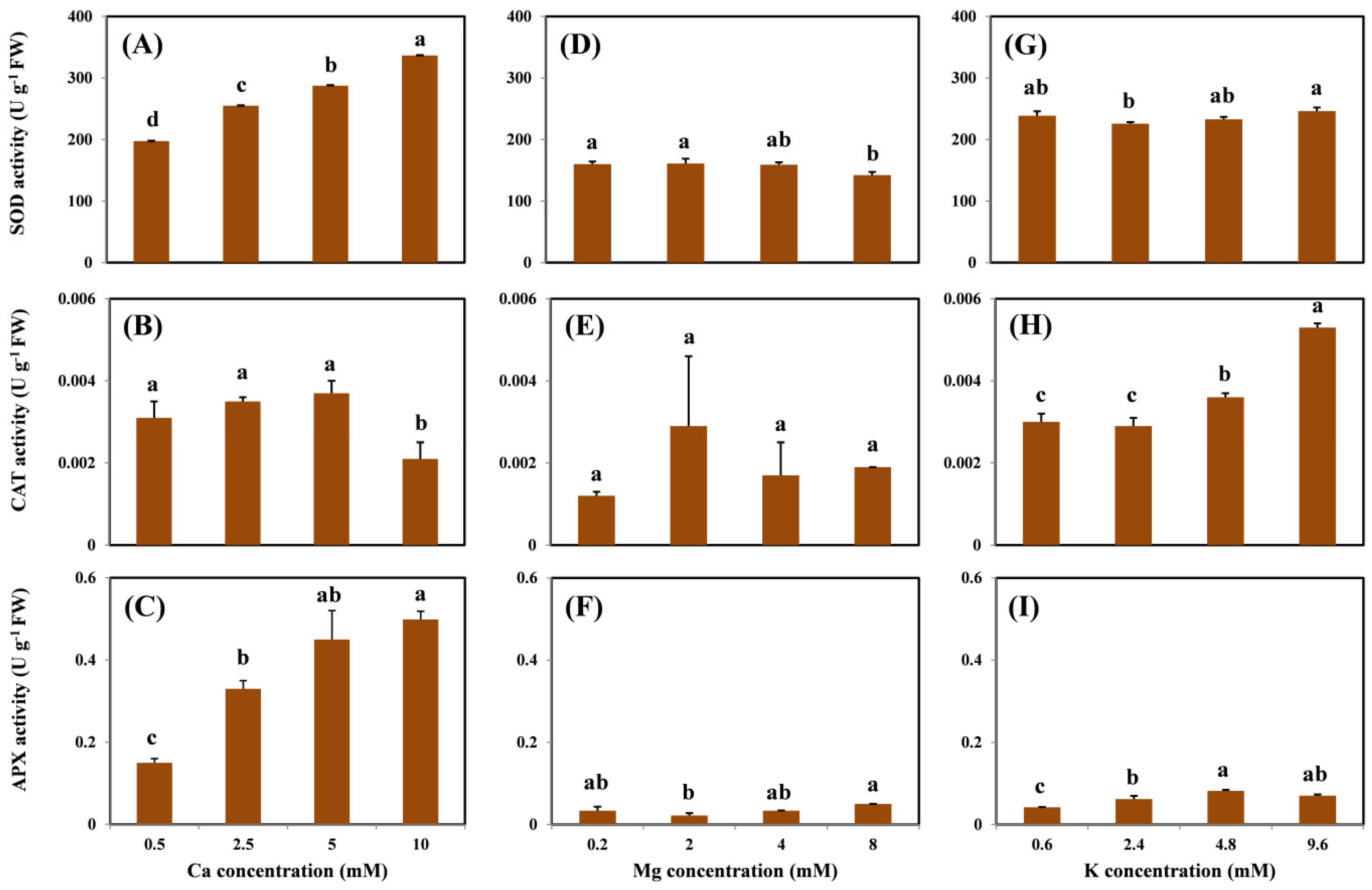 Molecules 26 05356 g004