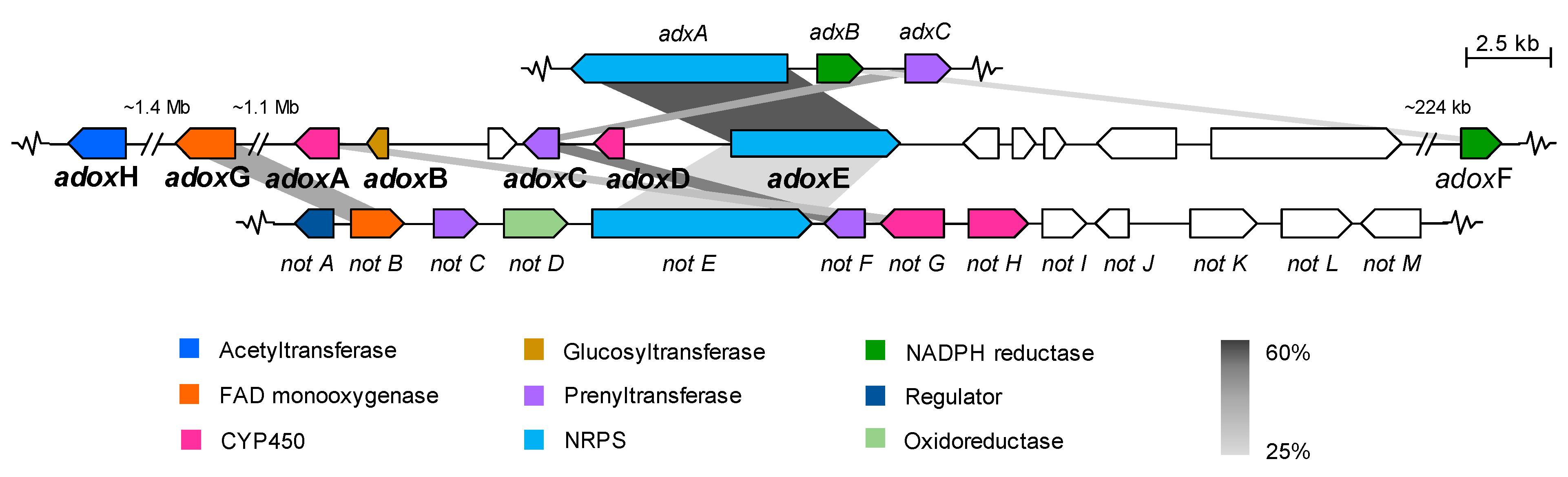Molecules 26 05362 g003