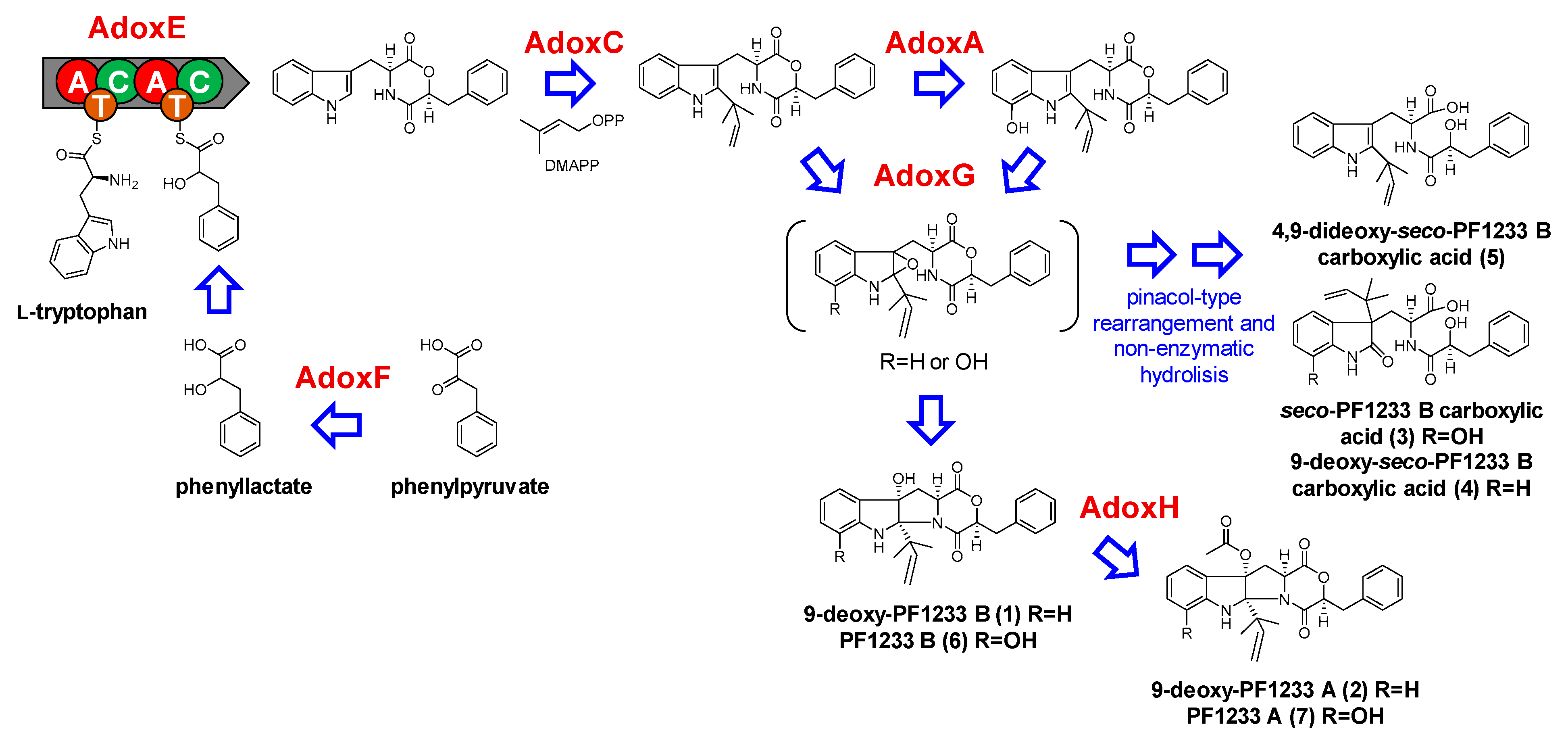 Molecules 26 05362 g004