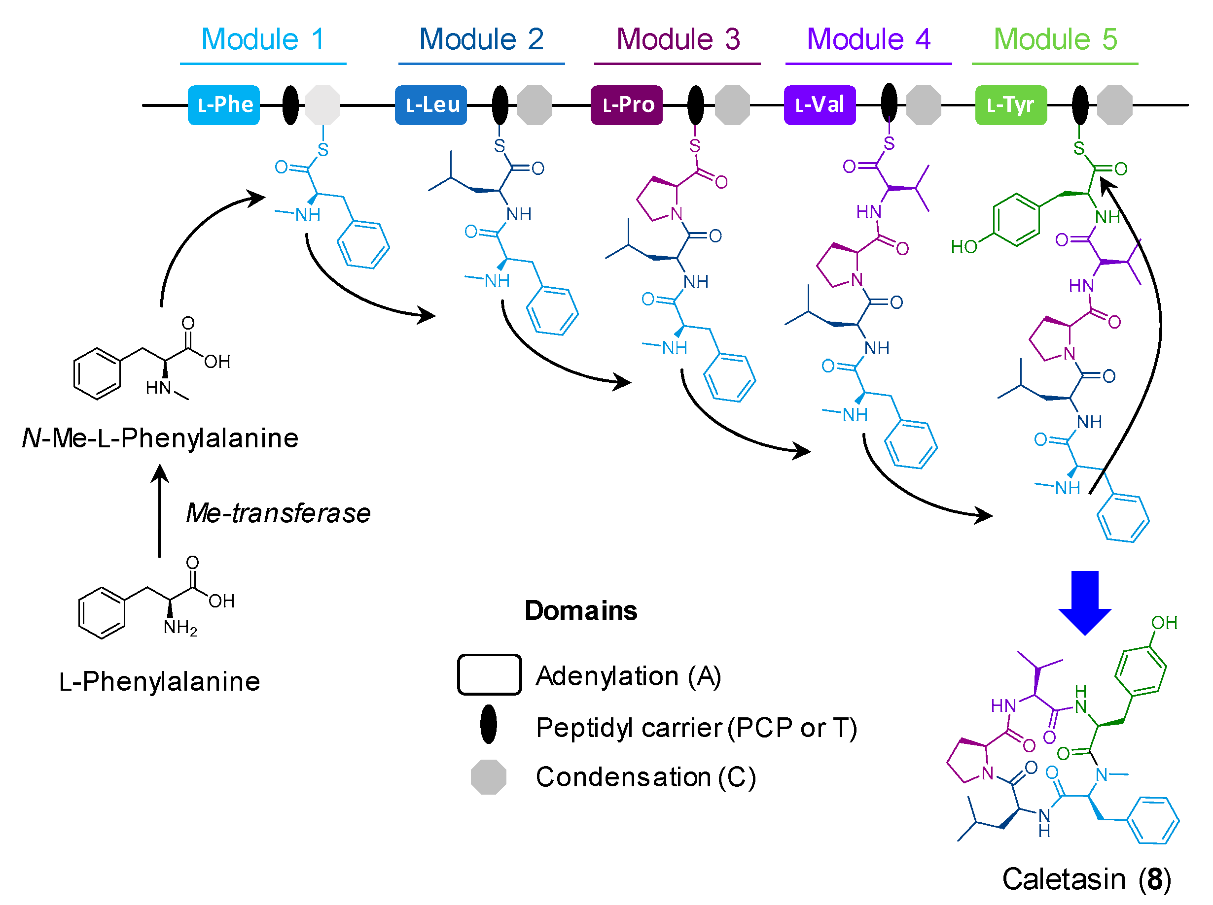 Molecules 26 05362 g006