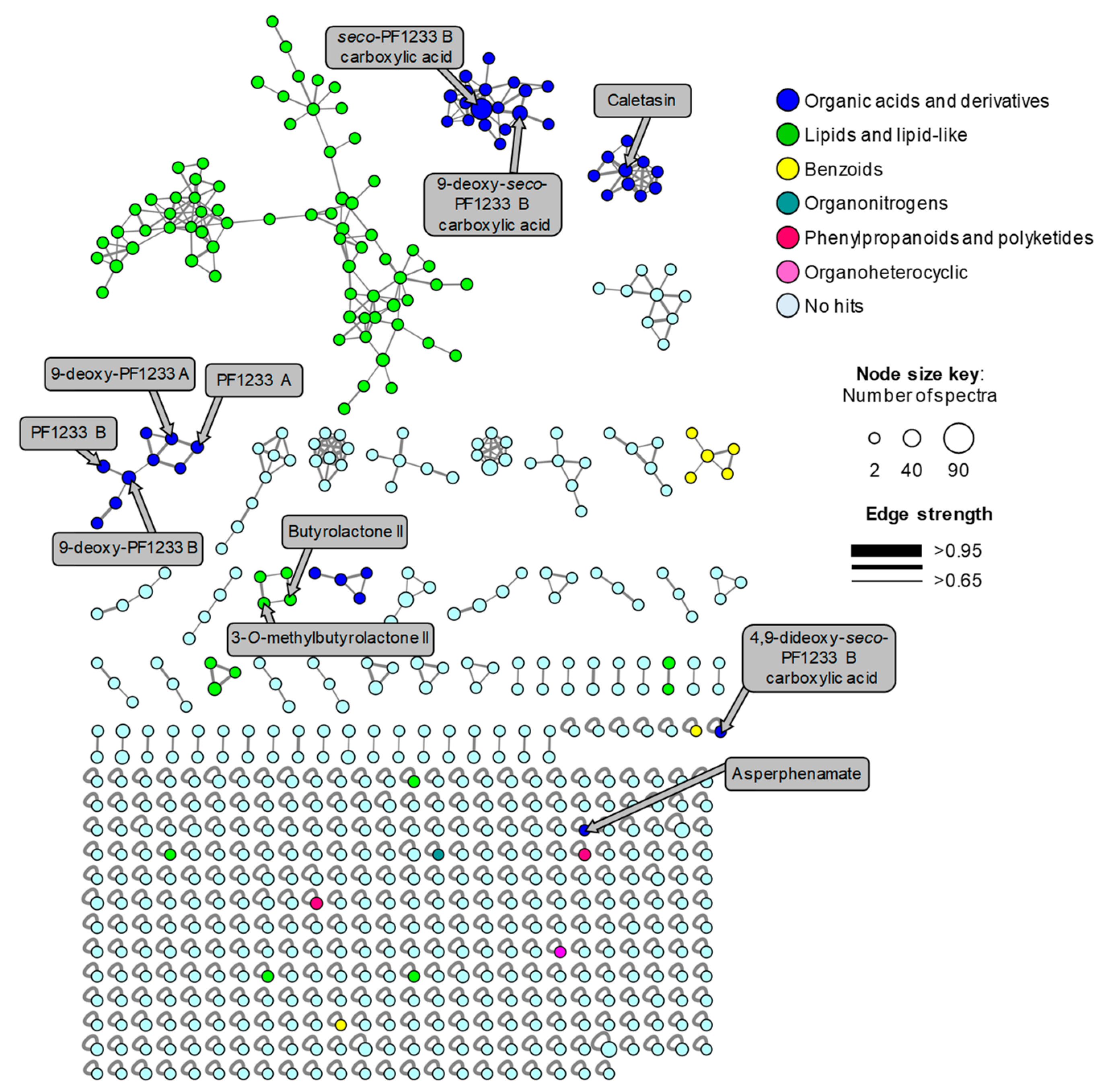 Molecules 26 05362 g007