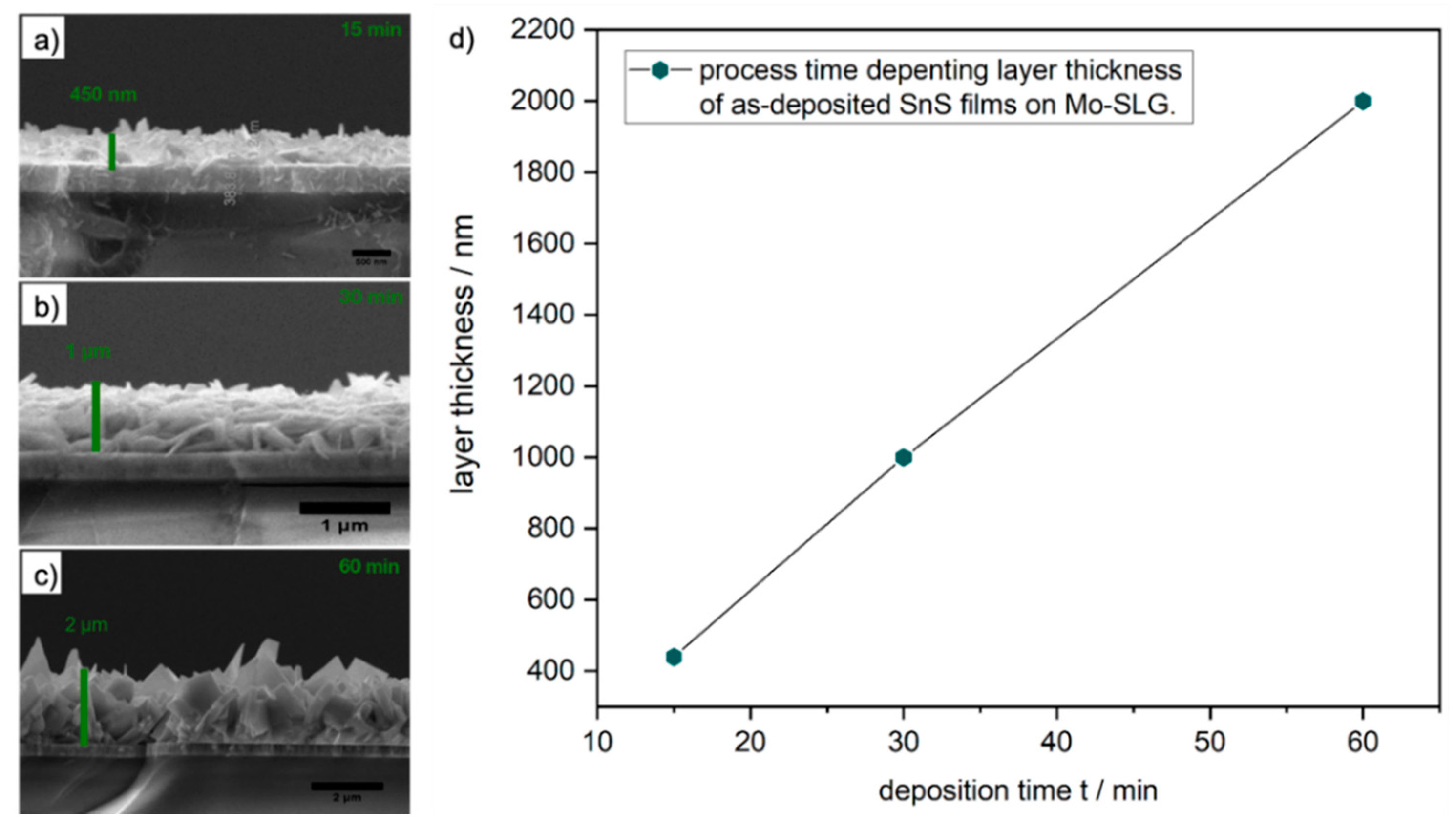 Molecules 26 05367 g008 Molecules 26 05367 g008