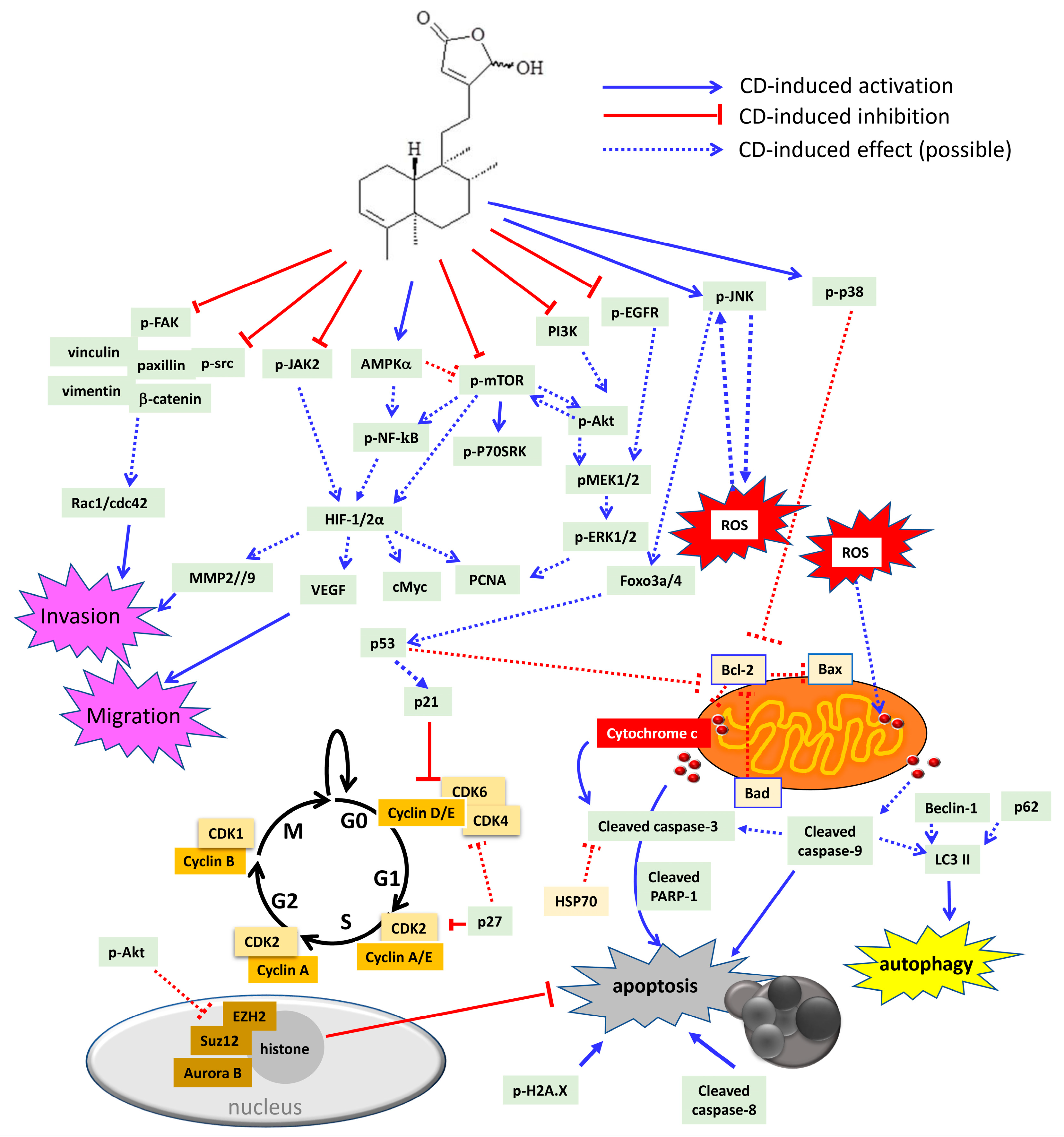 Molecules 26 05369 g005