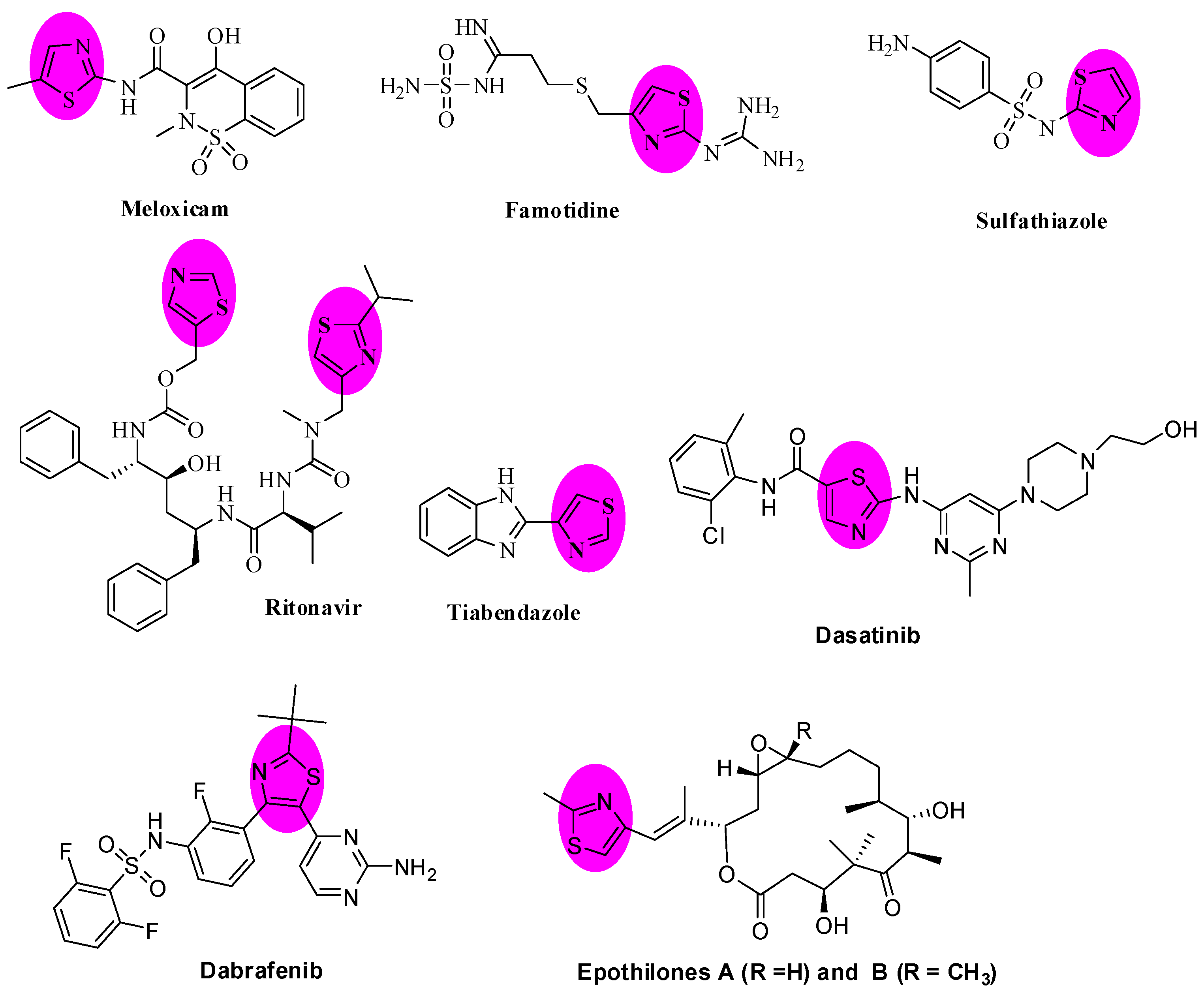 Molecules 26 05383 g001 Molecules 26 05383 g001