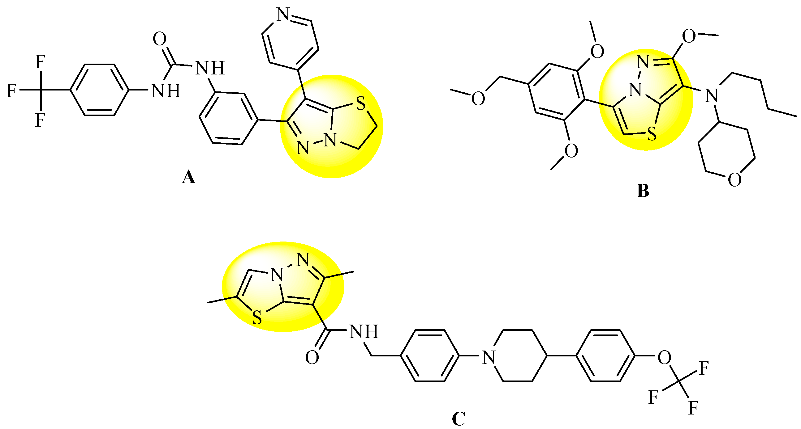 Molecules 26 05383 g003 Molecules 26 05383 g003