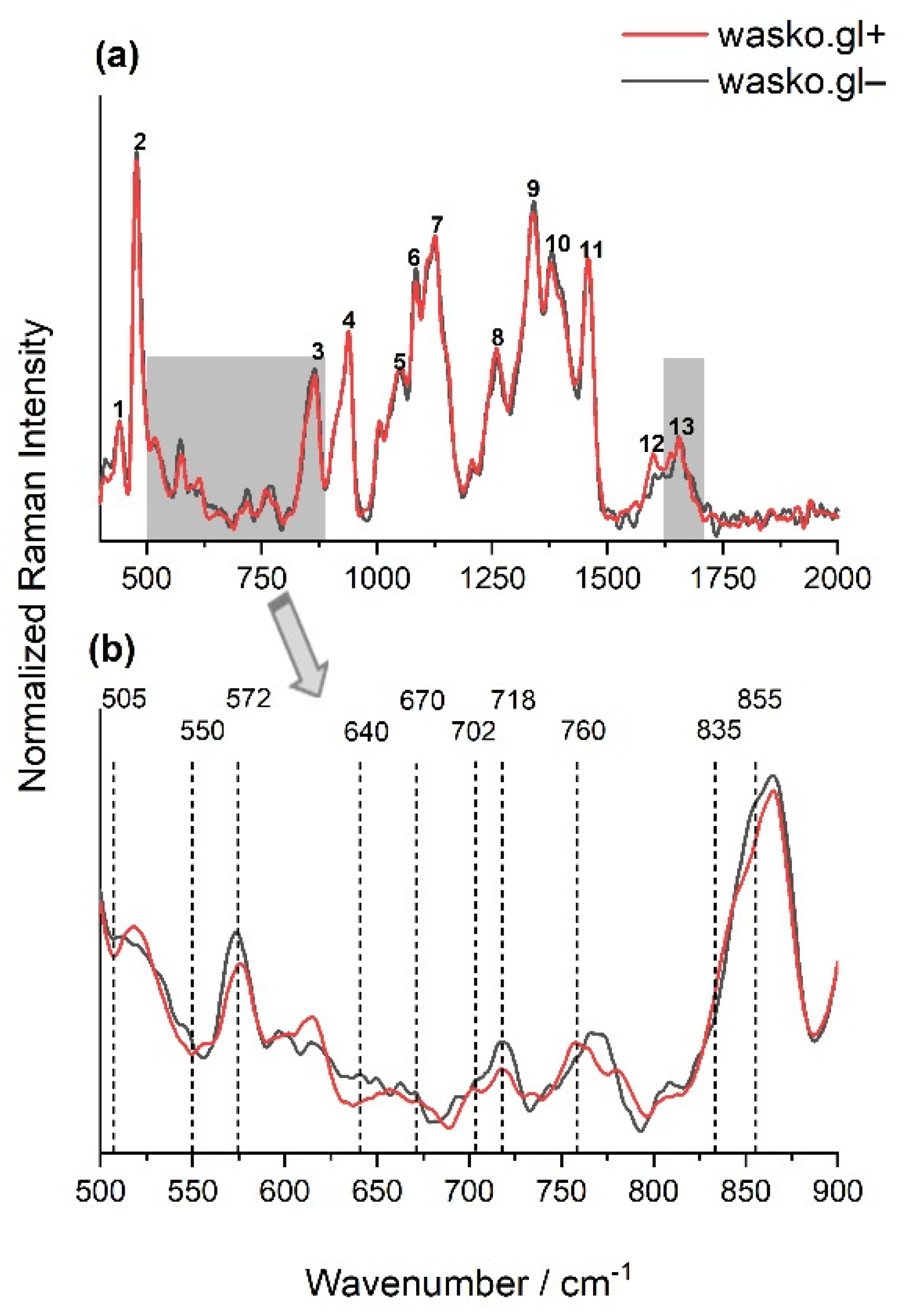 Molecules 26 05388 g003
