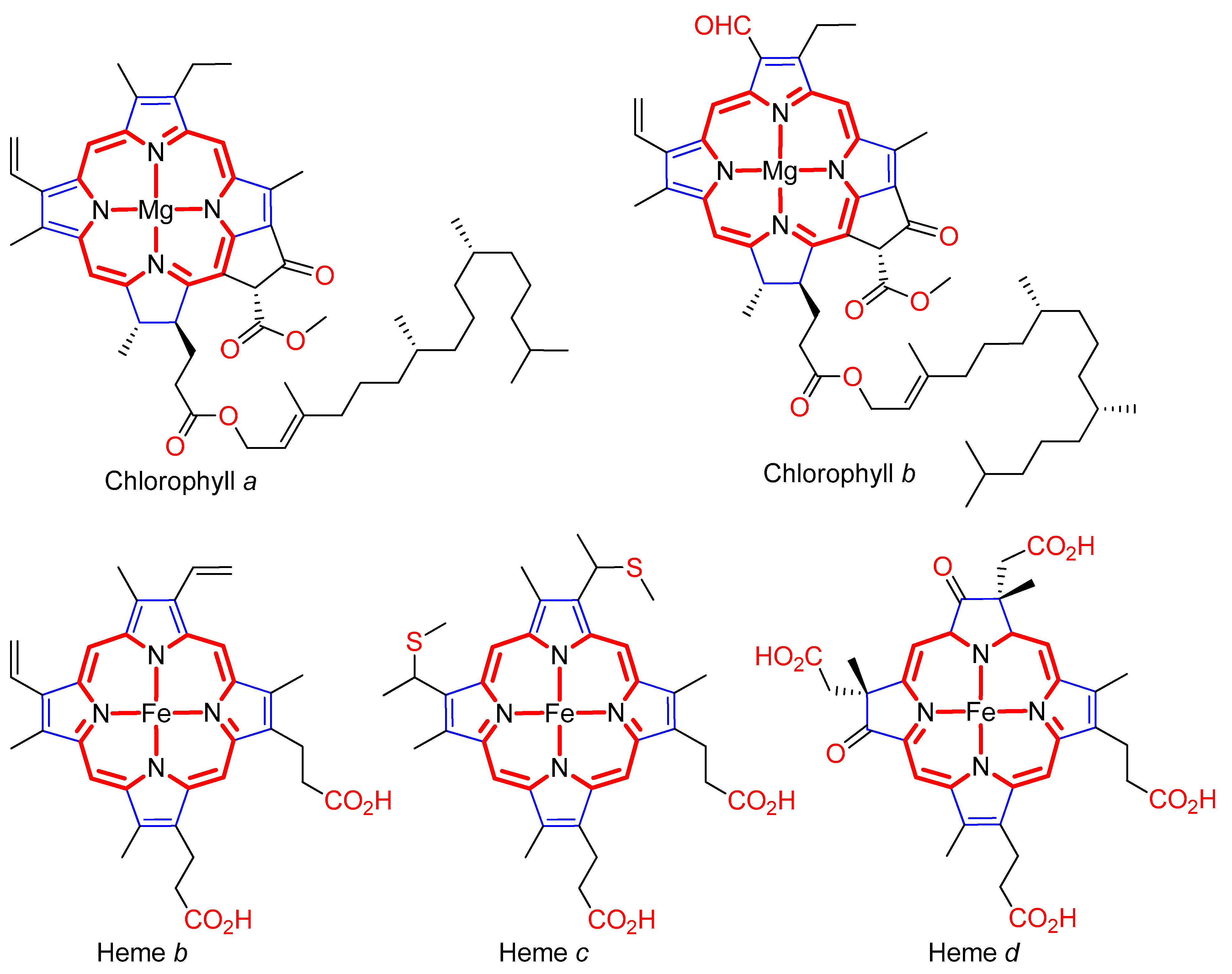 Molecules 26 05390 g001