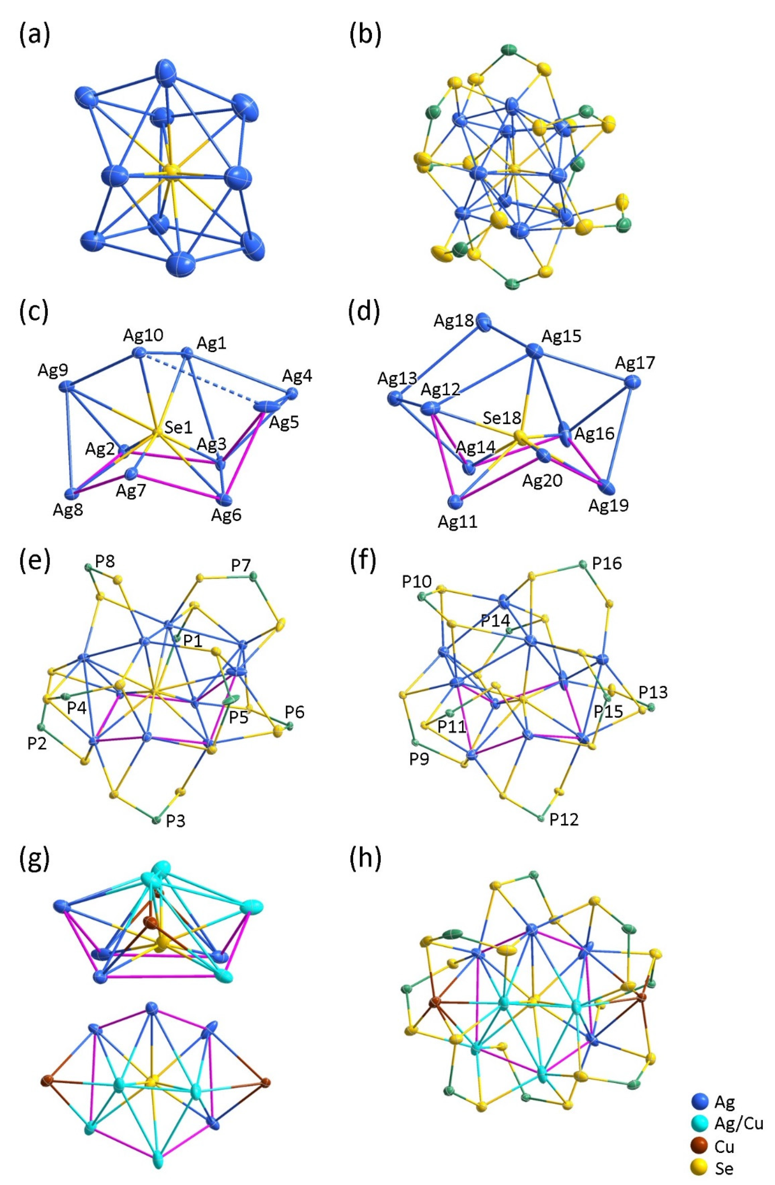 Molecules 26 05391 g001