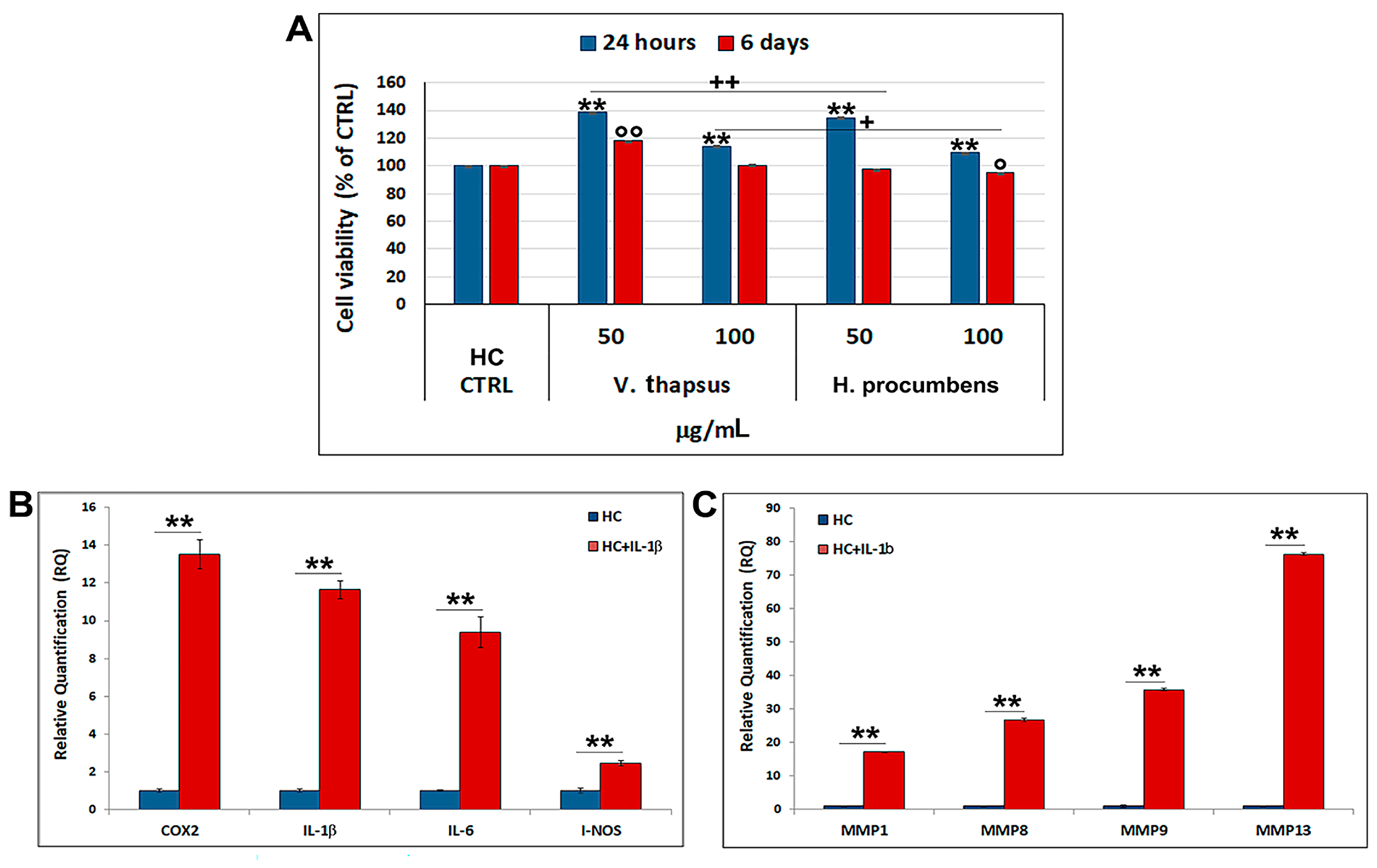 Molecules 26 05392 g004