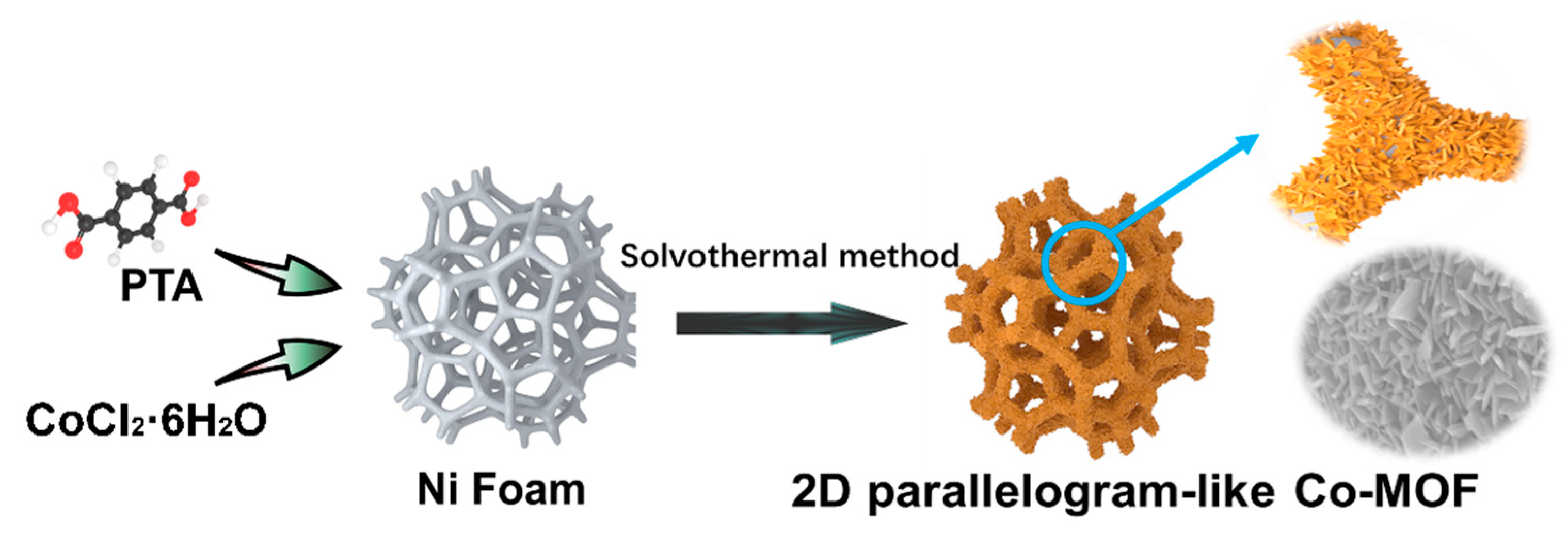 Molecules 26 05394 g001
