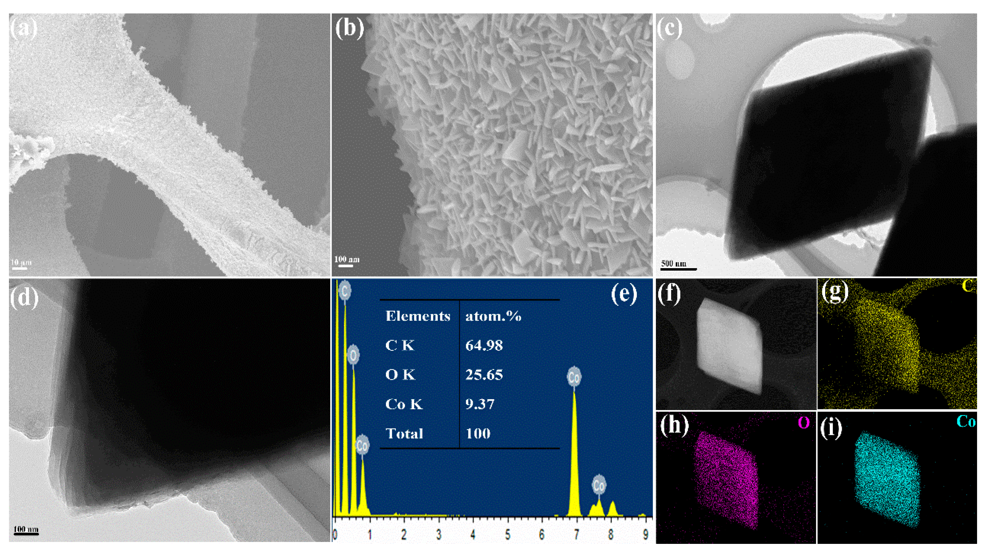 Molecules 26 05394 g004