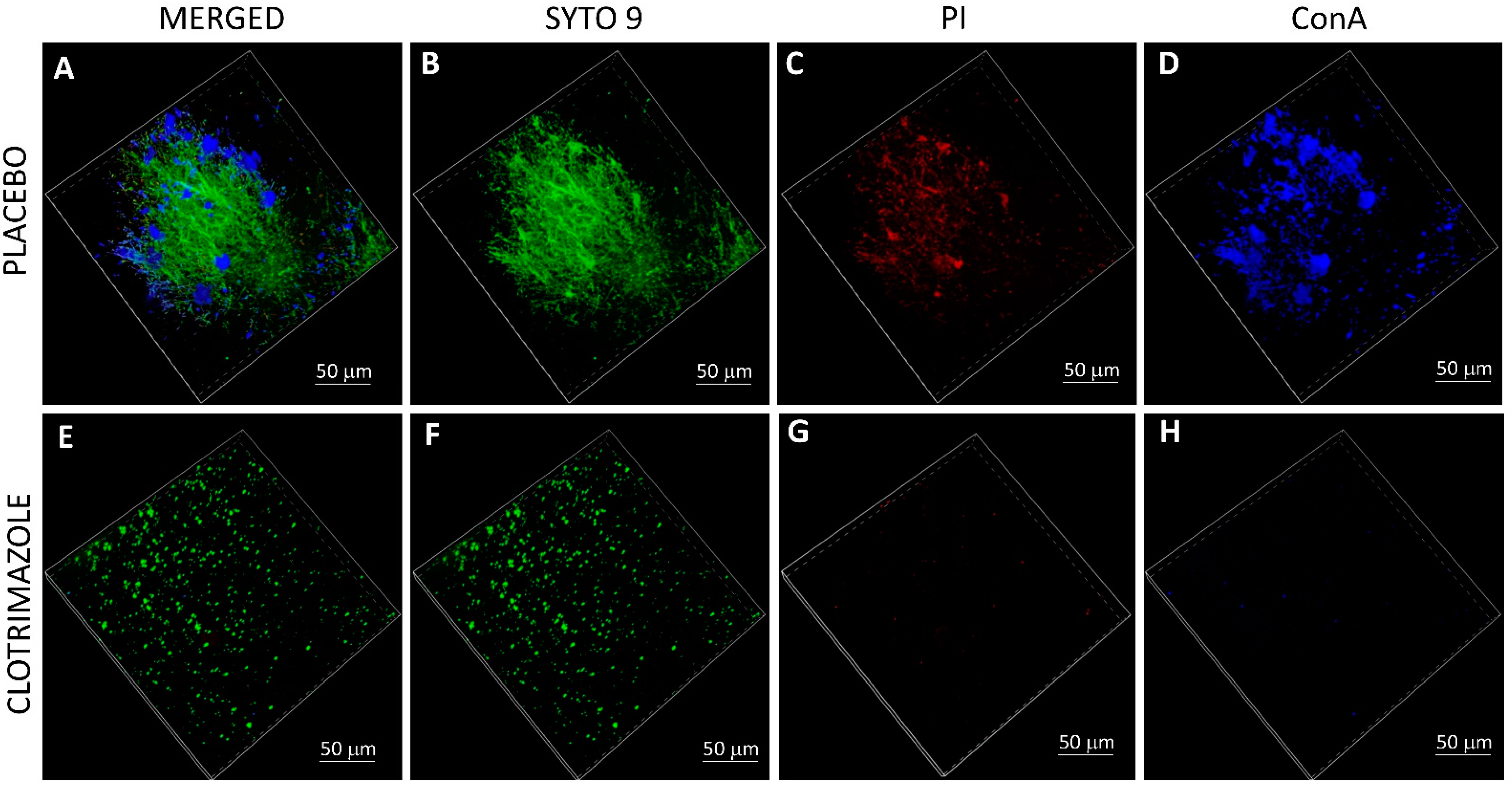 Molecules 26 05395 g006