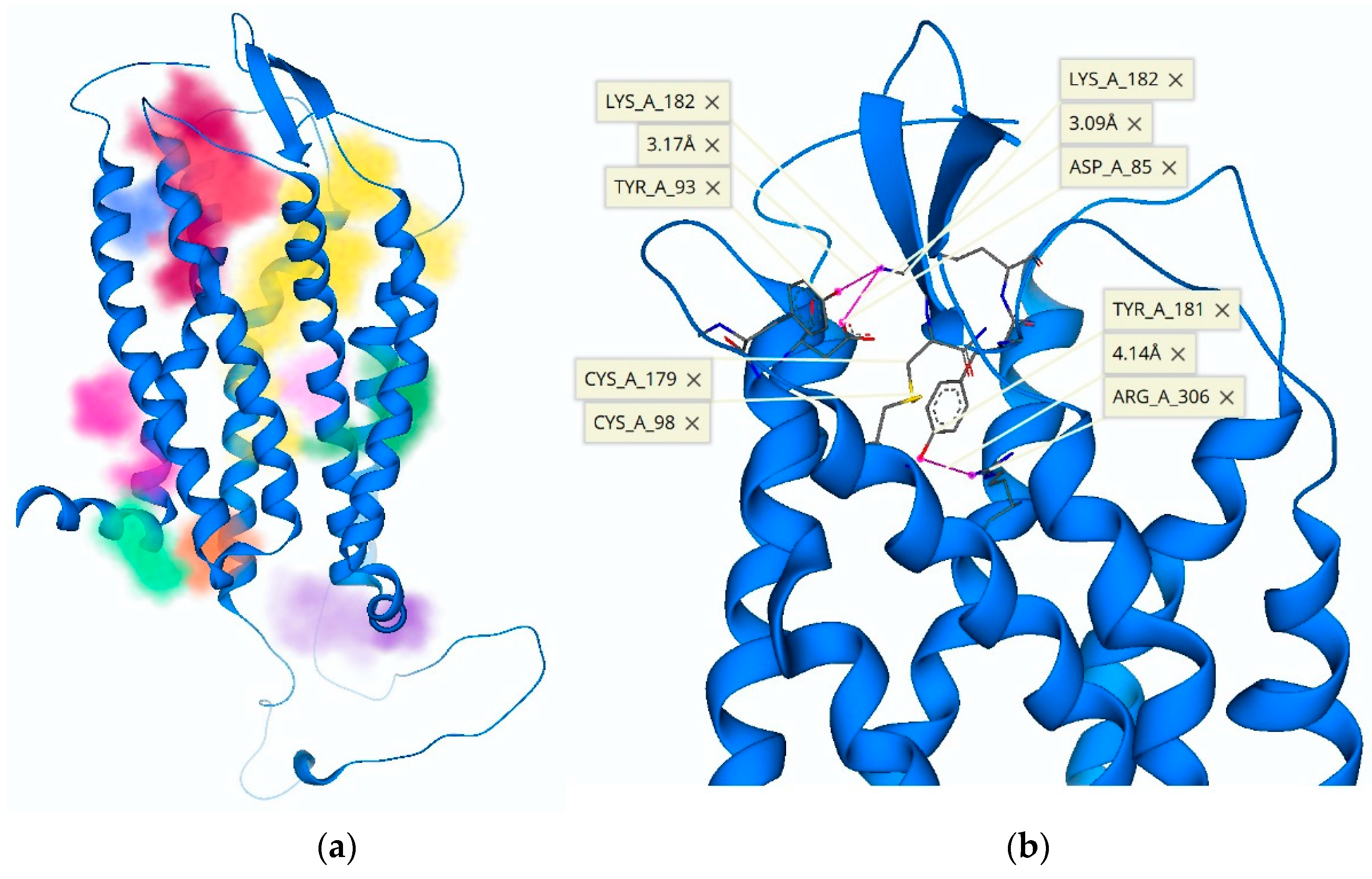 Molecules 26 05397 g004 Molecules 26 05397 g004