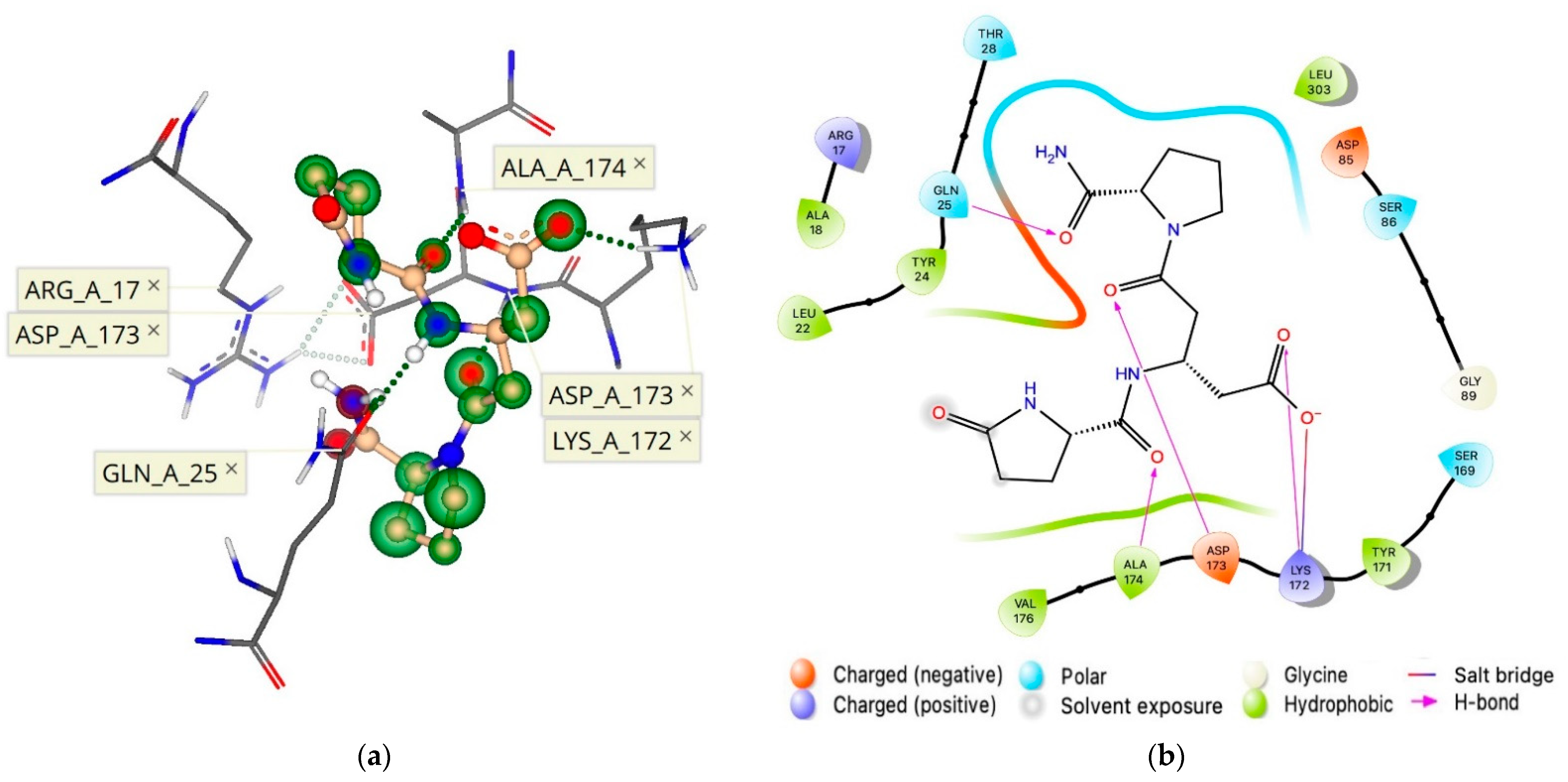 Molecules 26 05397 g007 Molecules 26 05397 g007