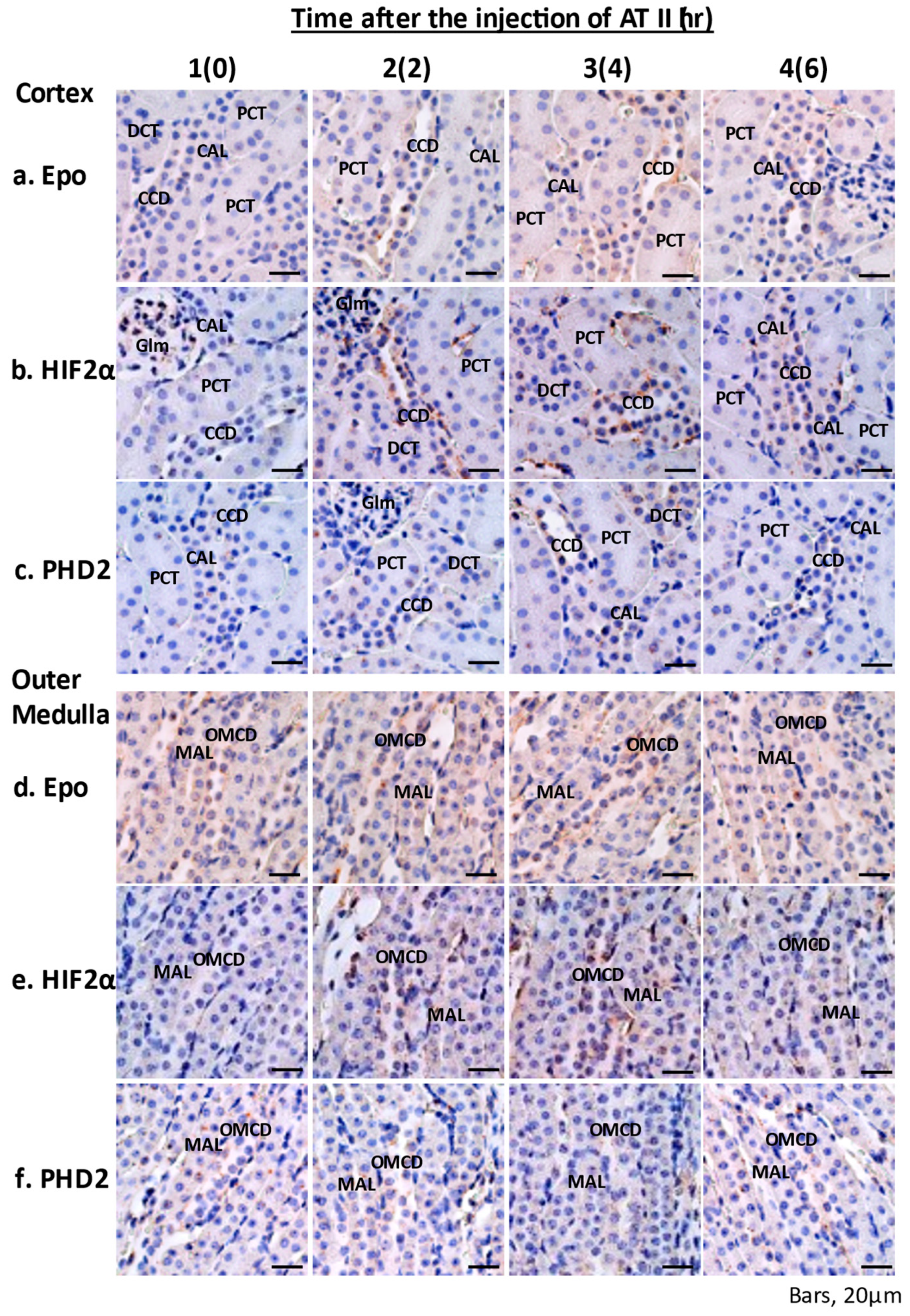 Molecules 26 05399 g002