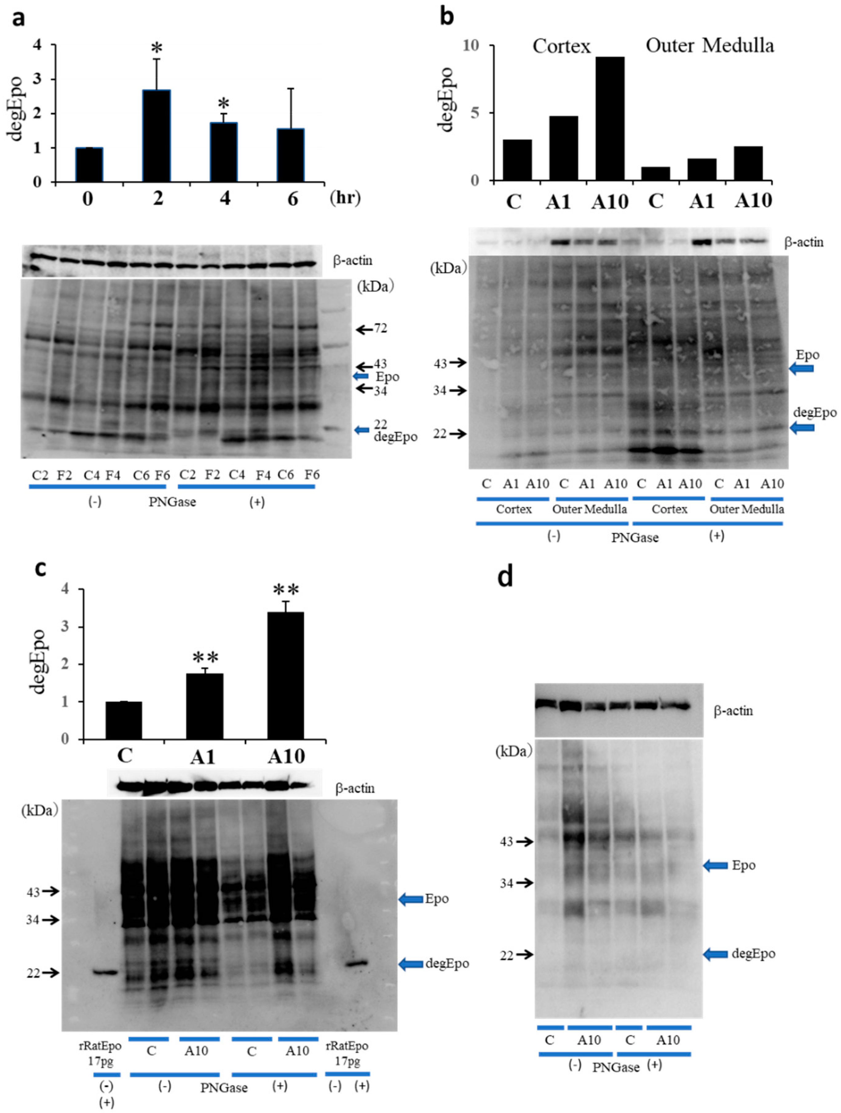 Molecules 26 05399 g003