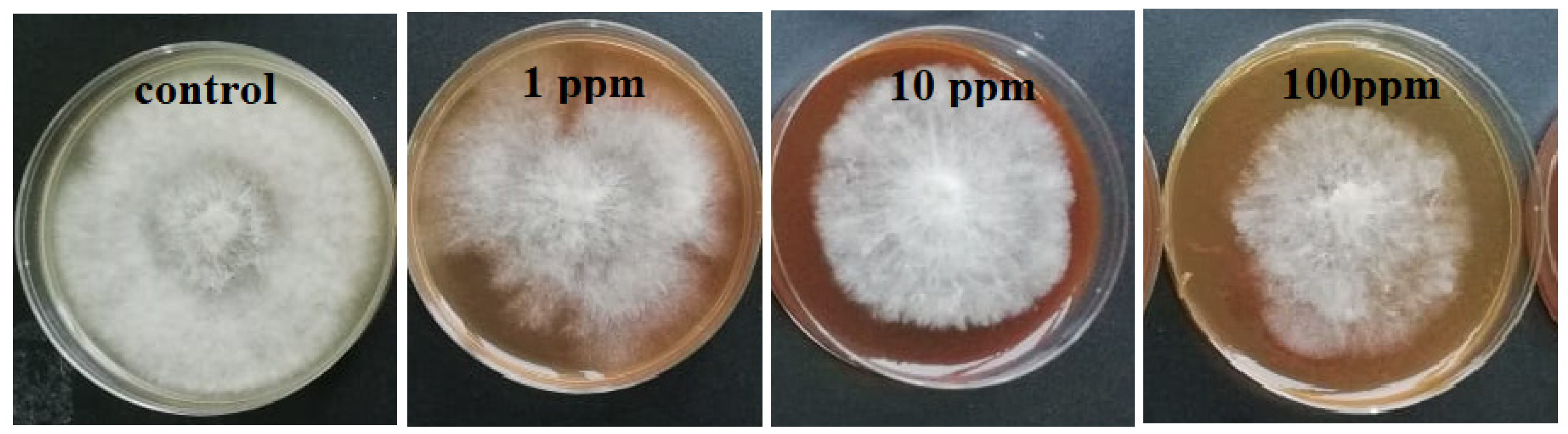 Molecules 26 05402 g002 Molecules 26 05402 g002