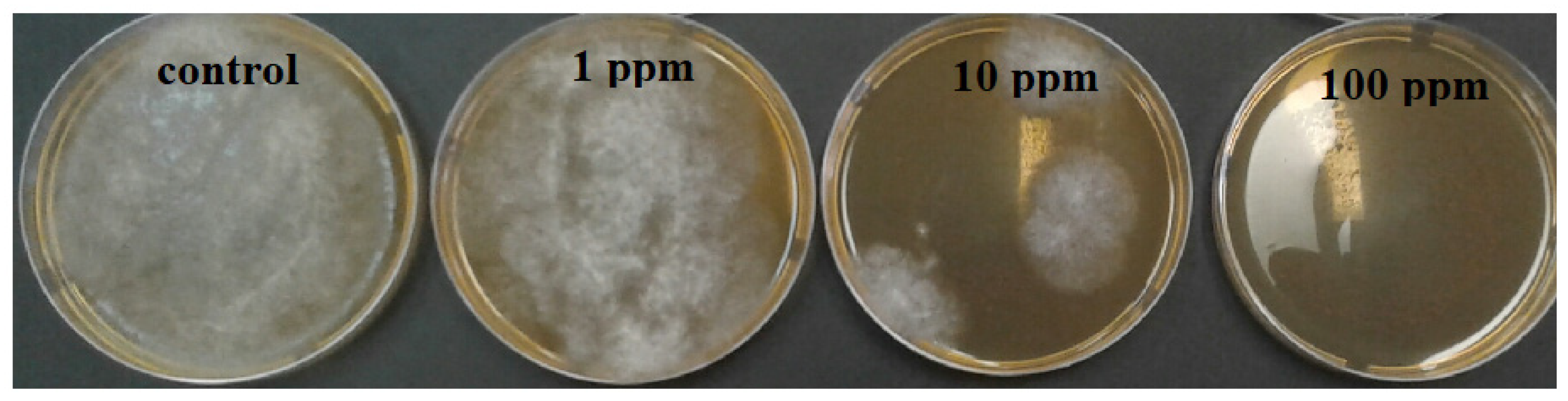 Molecules 26 05402 g005 Molecules 26 05402 g005