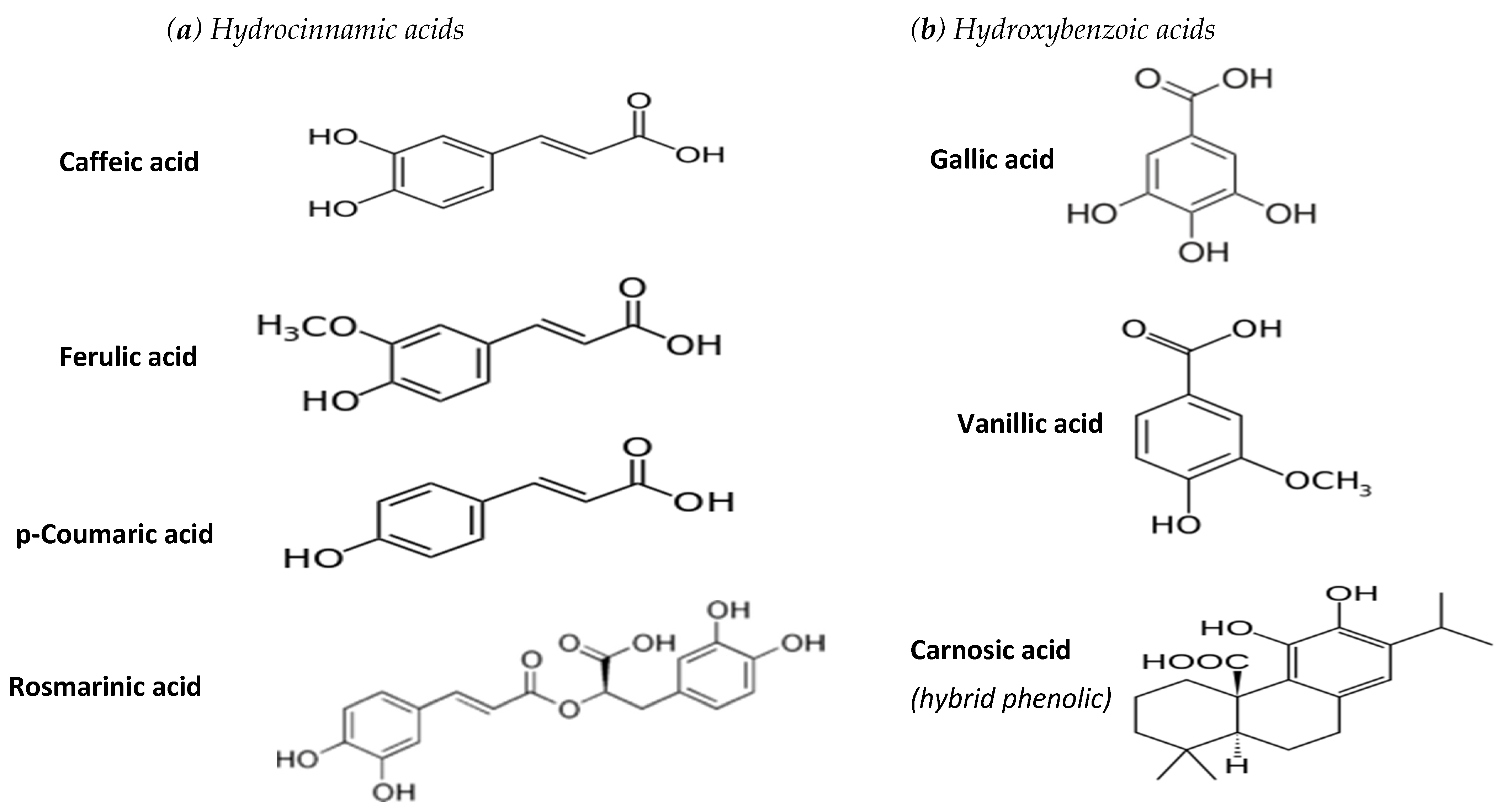 Molecules 26 05405 g001