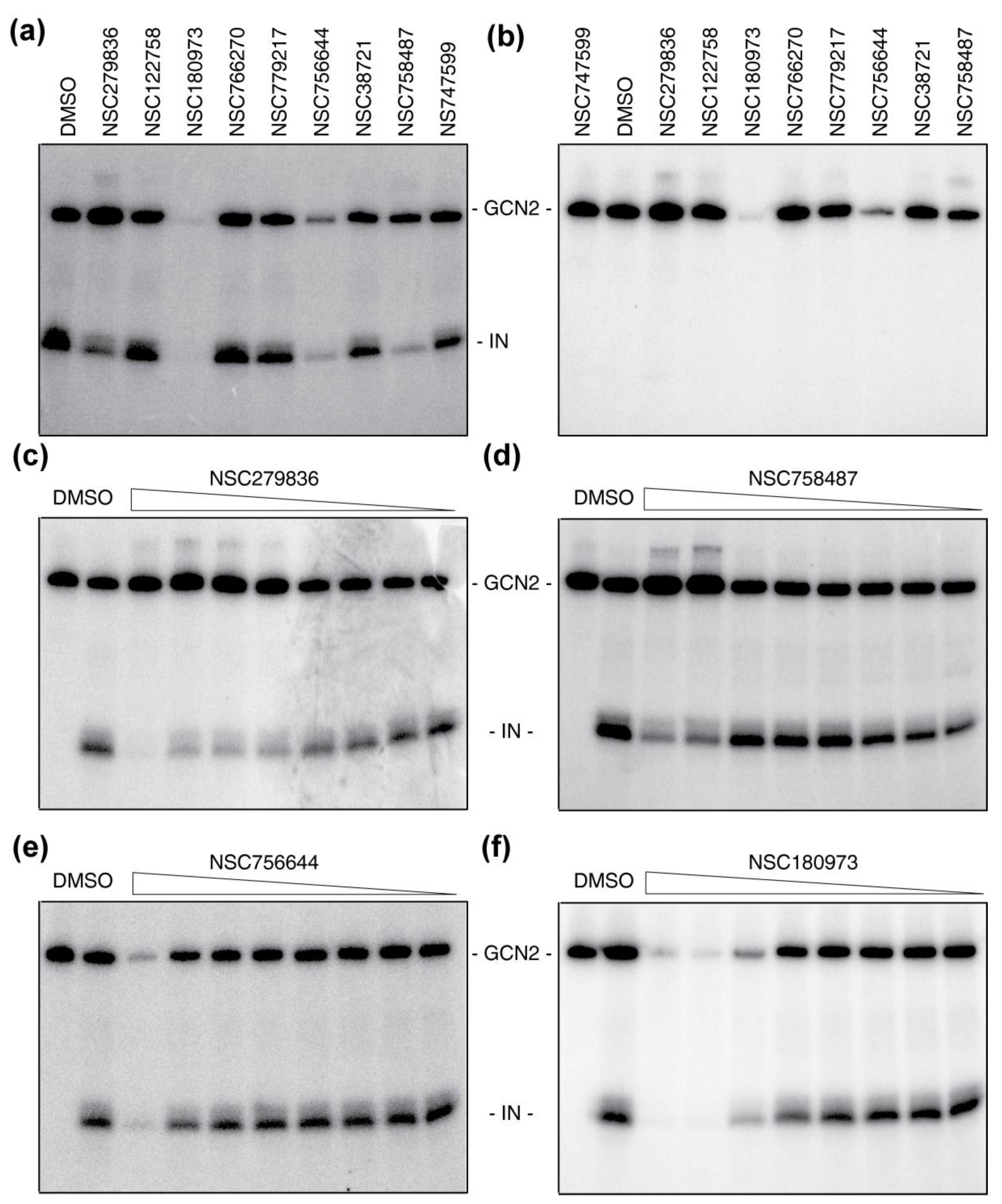 Molecules 26 05423 g004